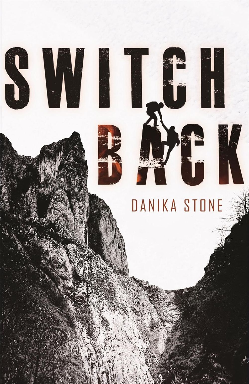 Switchback by Danika Stone - ISBN: 9781250250353