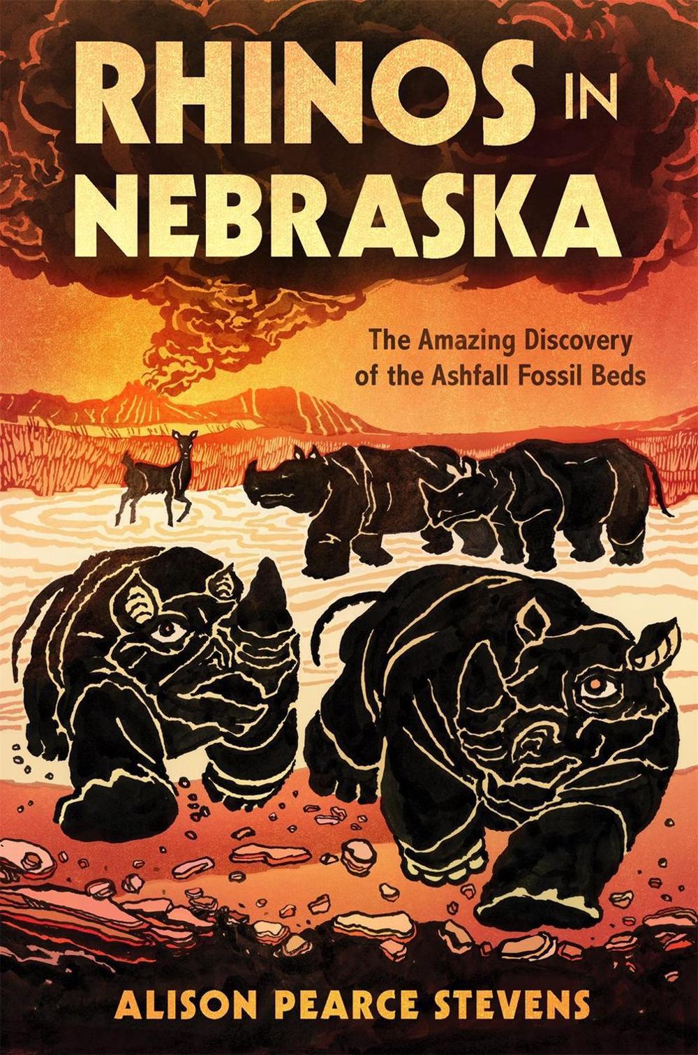 Rhinos in Nebraska by Alison Pearce Stevens - ISBN: 9781250266576