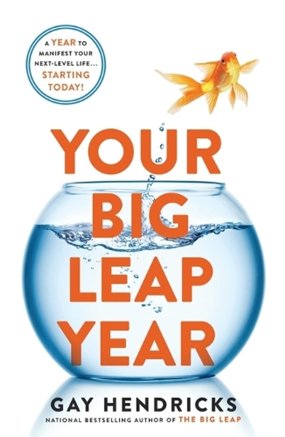 Your Big Leap Year by Gay Hendricks - ISBN: 9781250292797