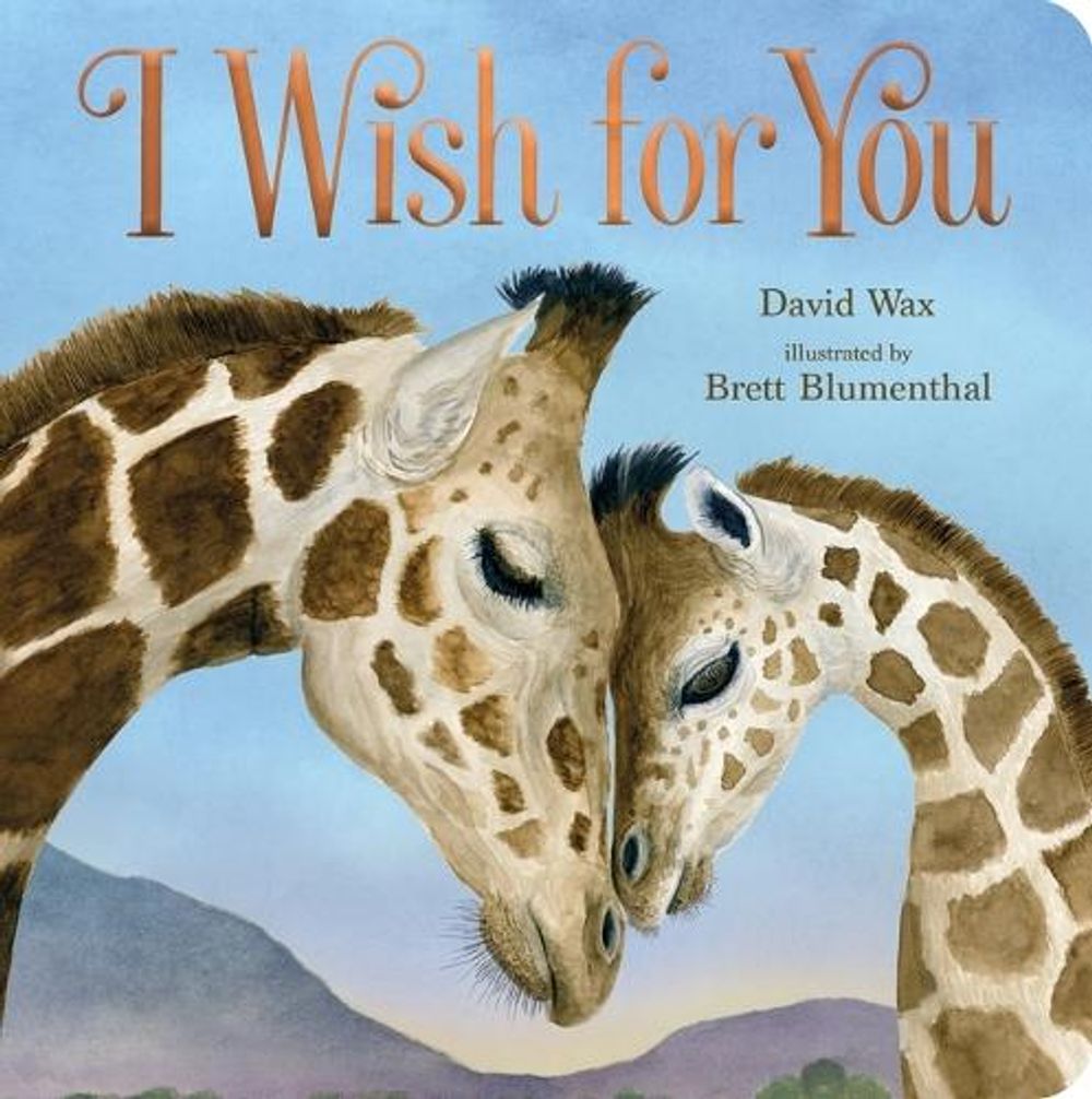 I Wish for You by David Wax - ISBN: 9781250293114