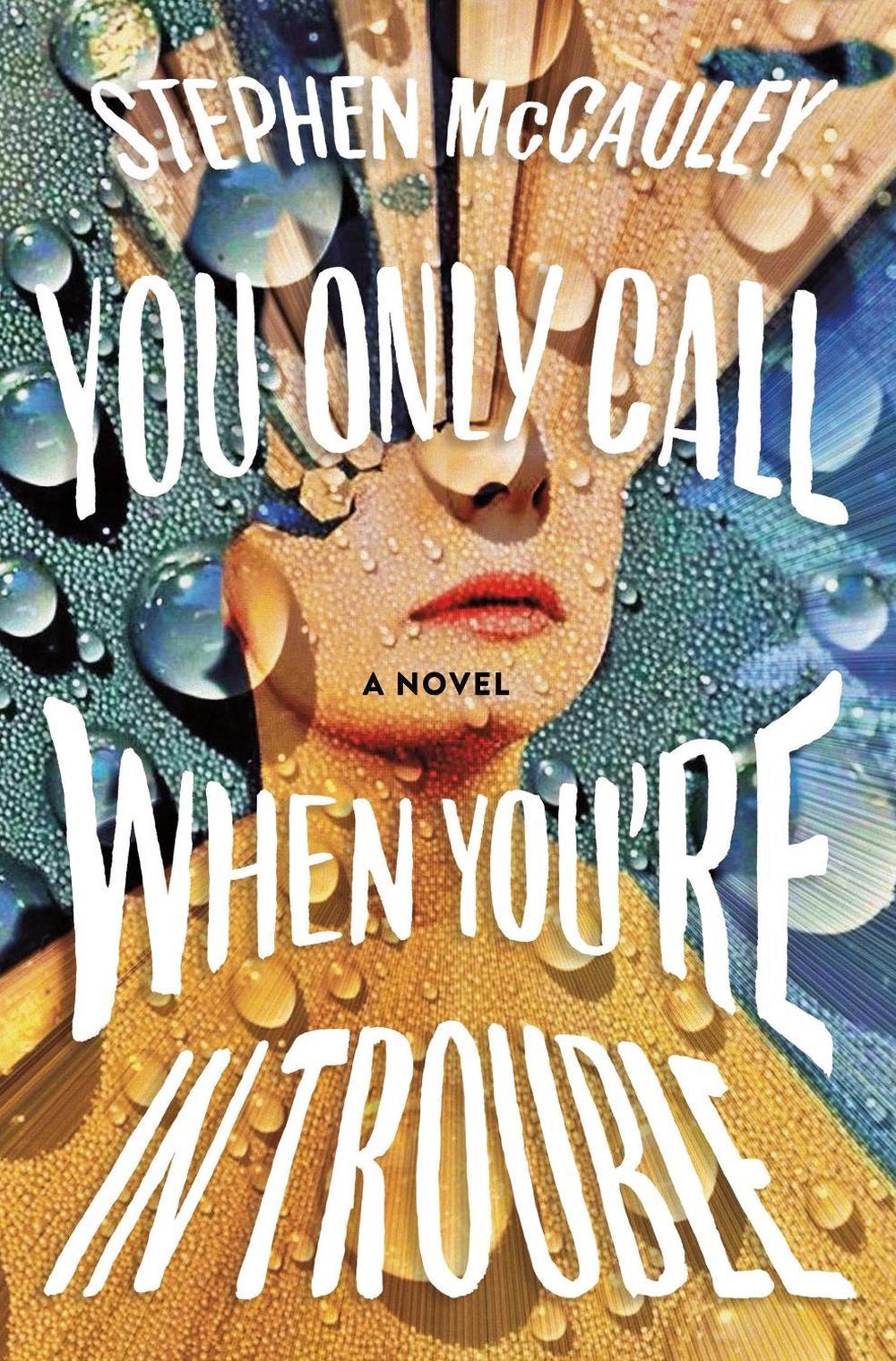 You Only Call When You're in Trouble by Stephen McCauley - ISBN: 9781250296795