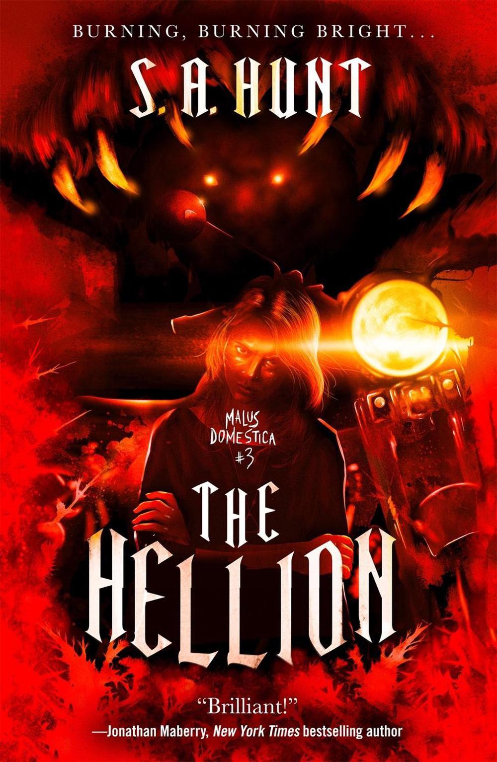 The Hellion by S.A. Hunt - ISBN: 9781250306517