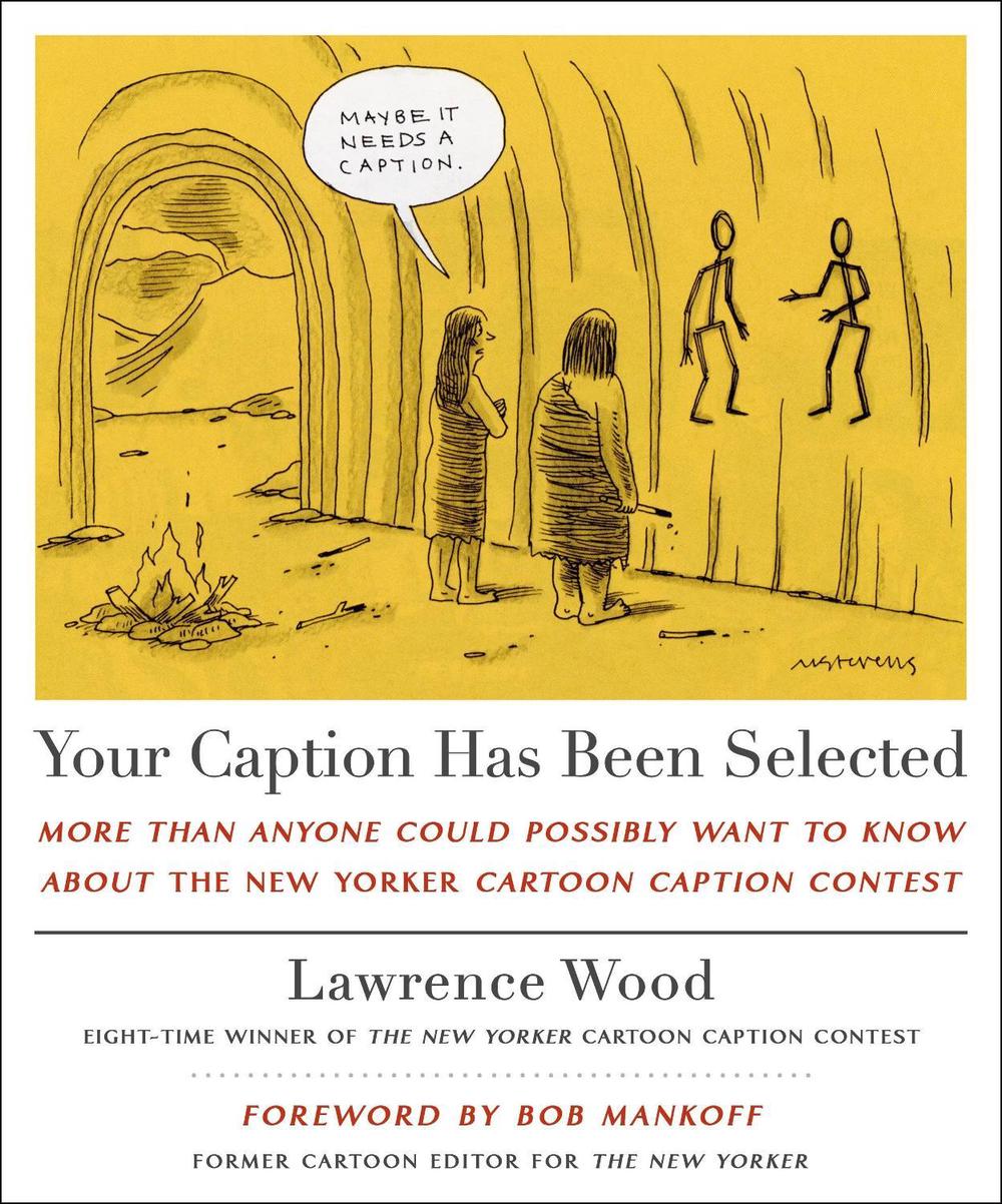 Your Caption Has Been Selected, 9781250333407