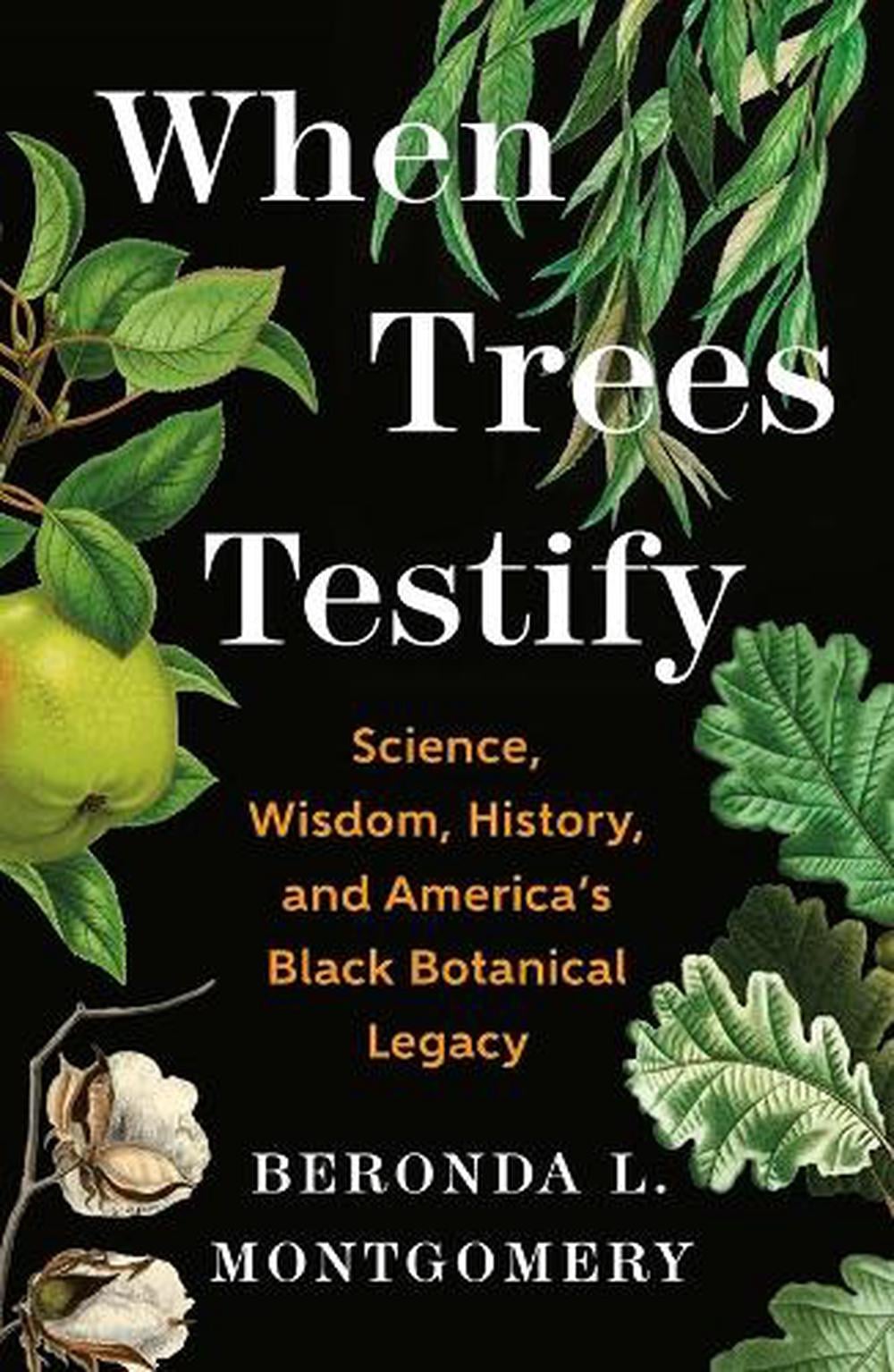 When Trees Testify by Beronda L. Montgomery - ISBN: 9781250335166