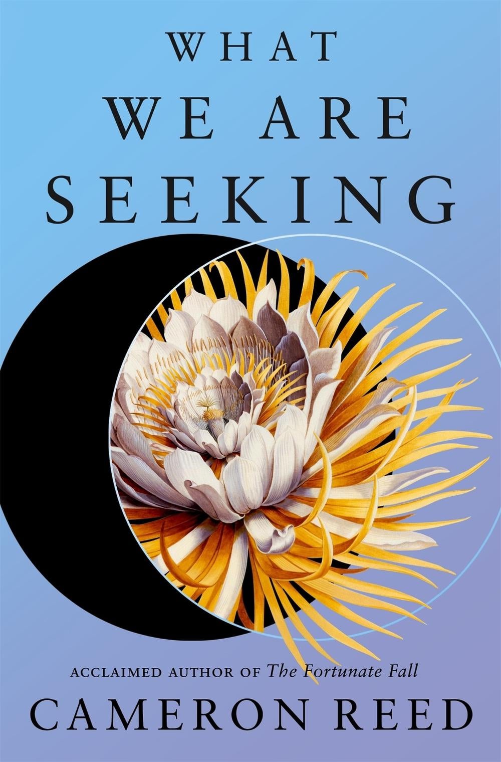 What We Are Seeking by Cameron Reed - ISBN: 9781250364739