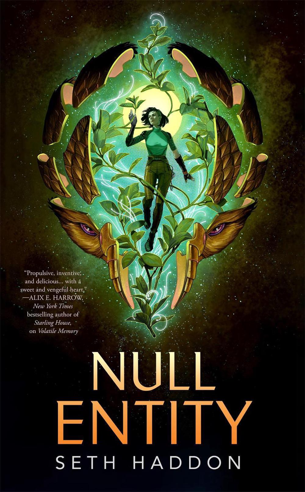 Null Entity by Seth Haddon - ISBN: 9781250365217