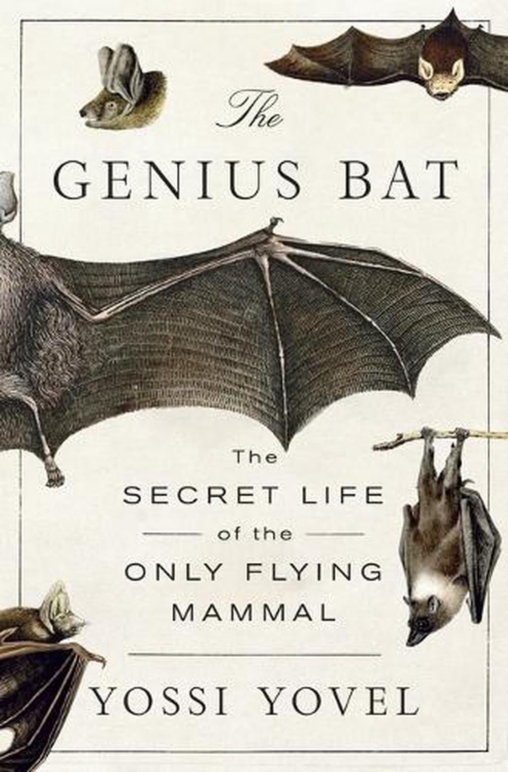 The Genius Bat by Yossi Yovel - ISBN: 9781250378446