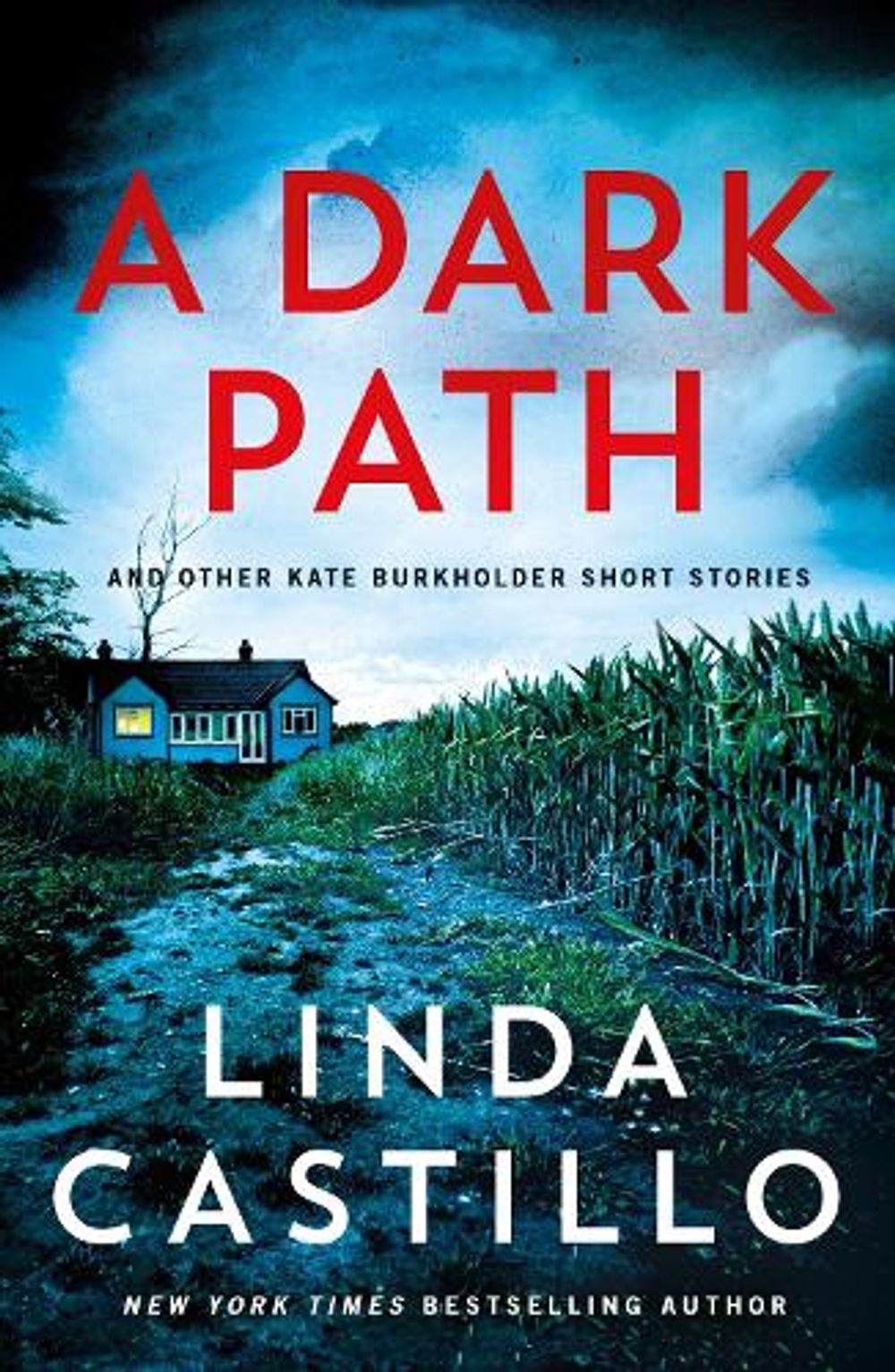 A Dark Path: And Other Kate Burkholder Short Stories by Linda Castillo - ISBN: 9781250409072