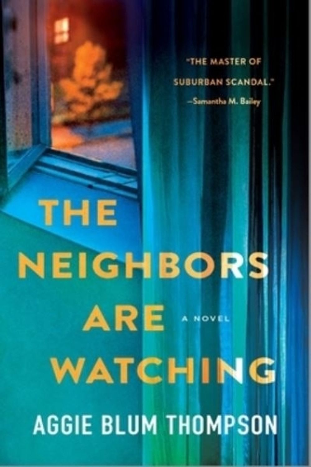 The Neighbors Are Watching by Aggie Blum Thompson - ISBN: 9781250412553