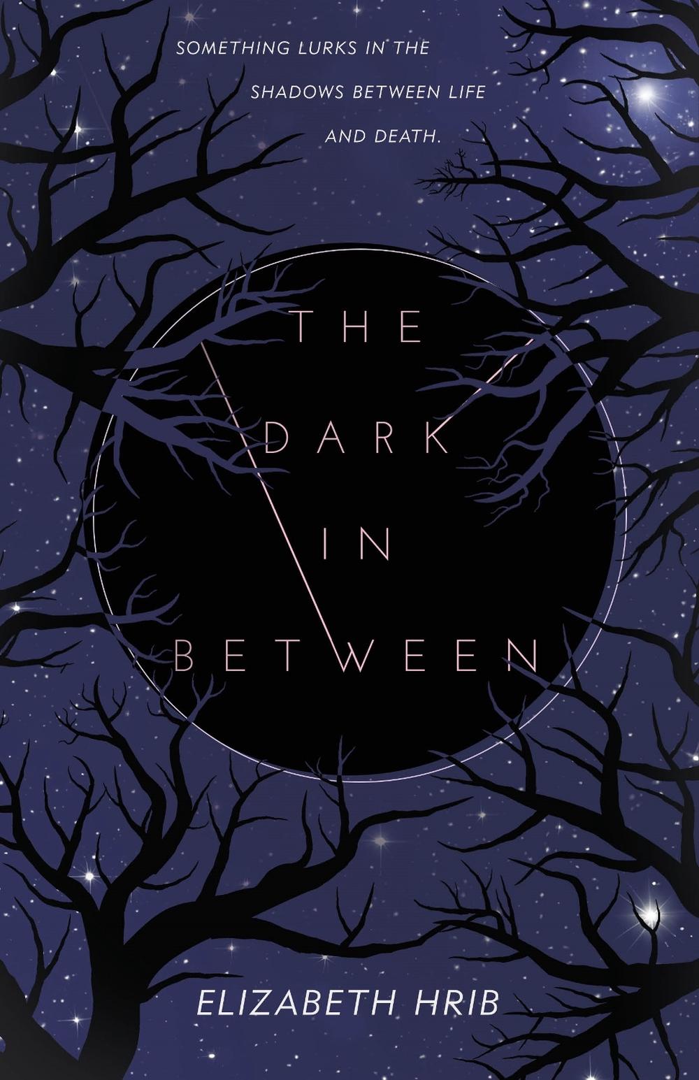 The Dark In-Between by Elizabeth Hrib - ISBN: 9781250419880