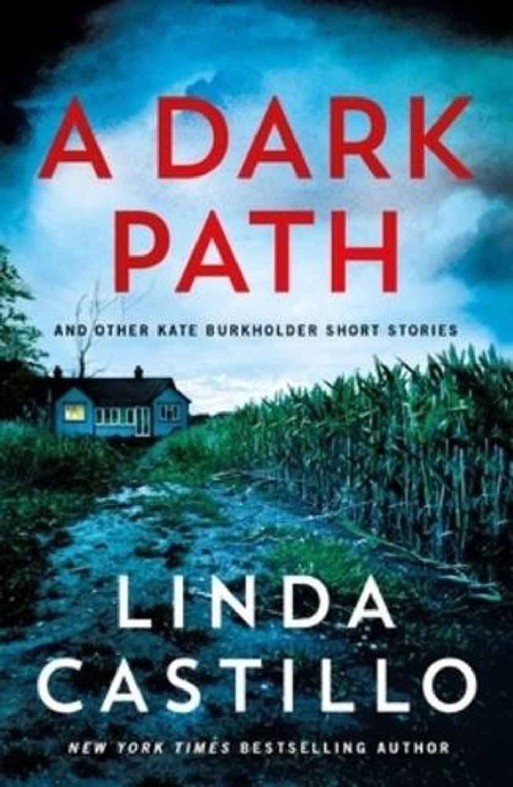 A Dark Path: And Other Kate Burkholder Short Stories by Linda Castillo - ISBN: 9781250427052