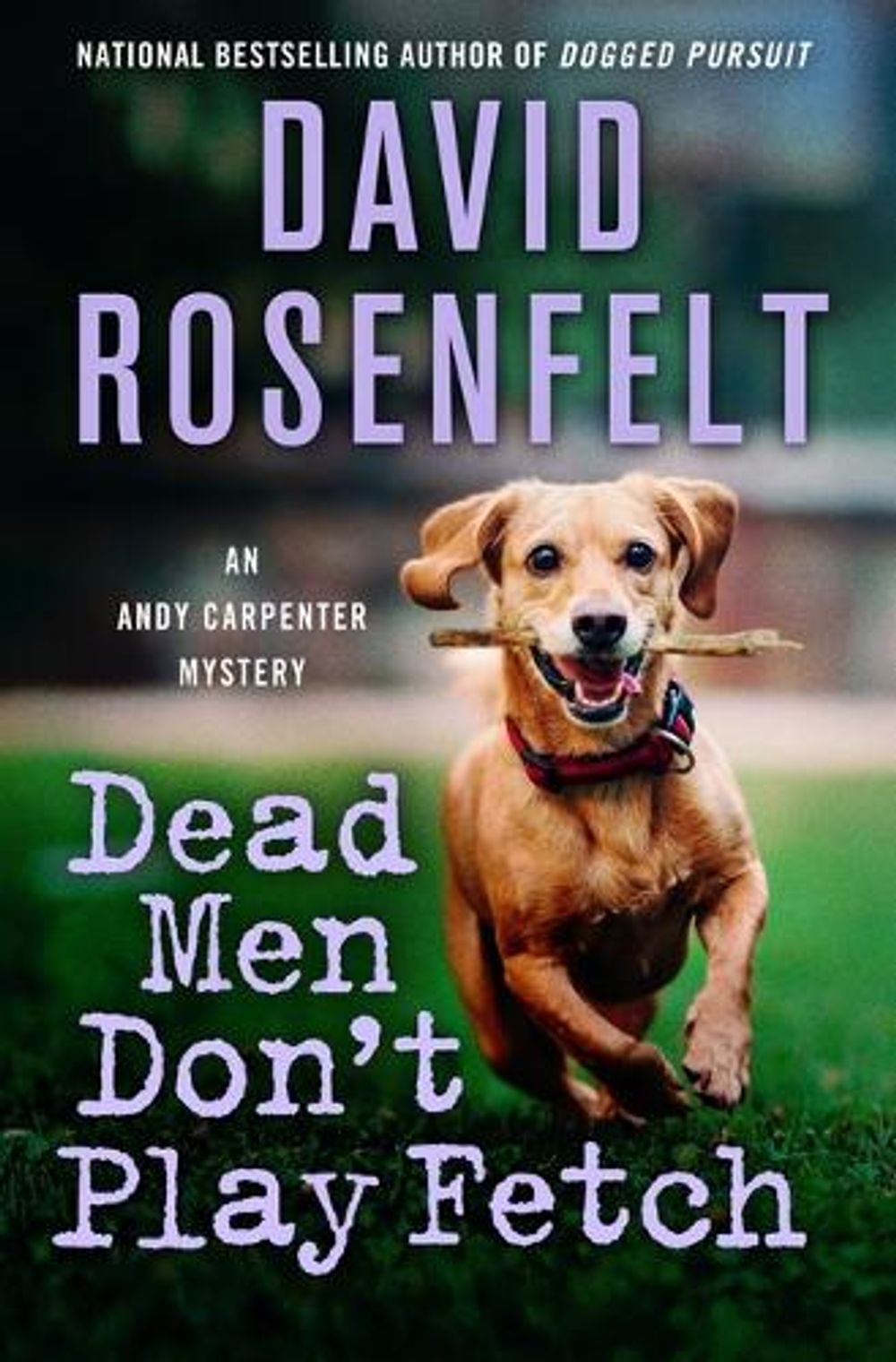 Dead Men Don't Play Fetch by David Rosenfelt - ISBN: 9781250427625