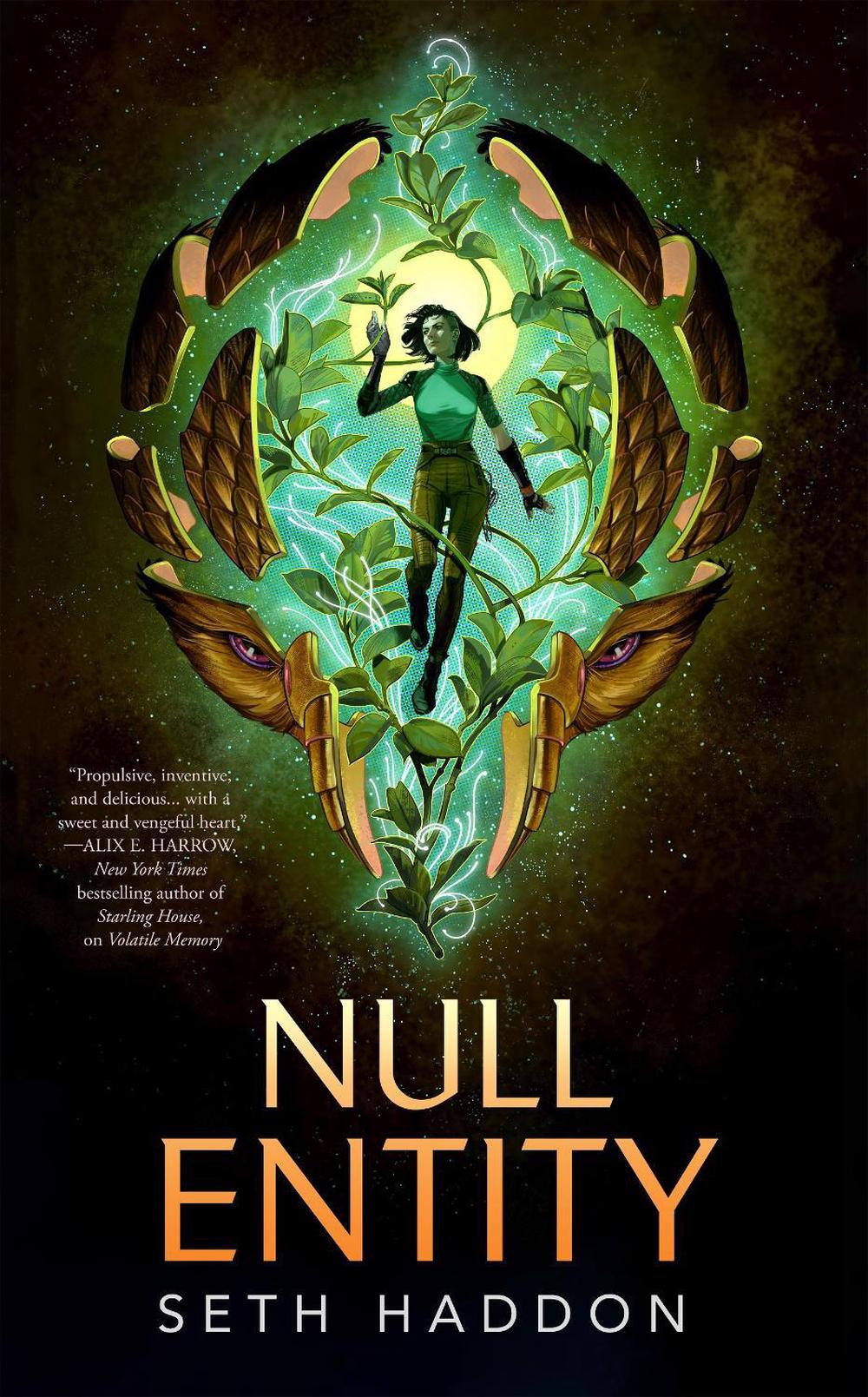 Null Entity by Seth Haddon - ISBN: 9781250476555