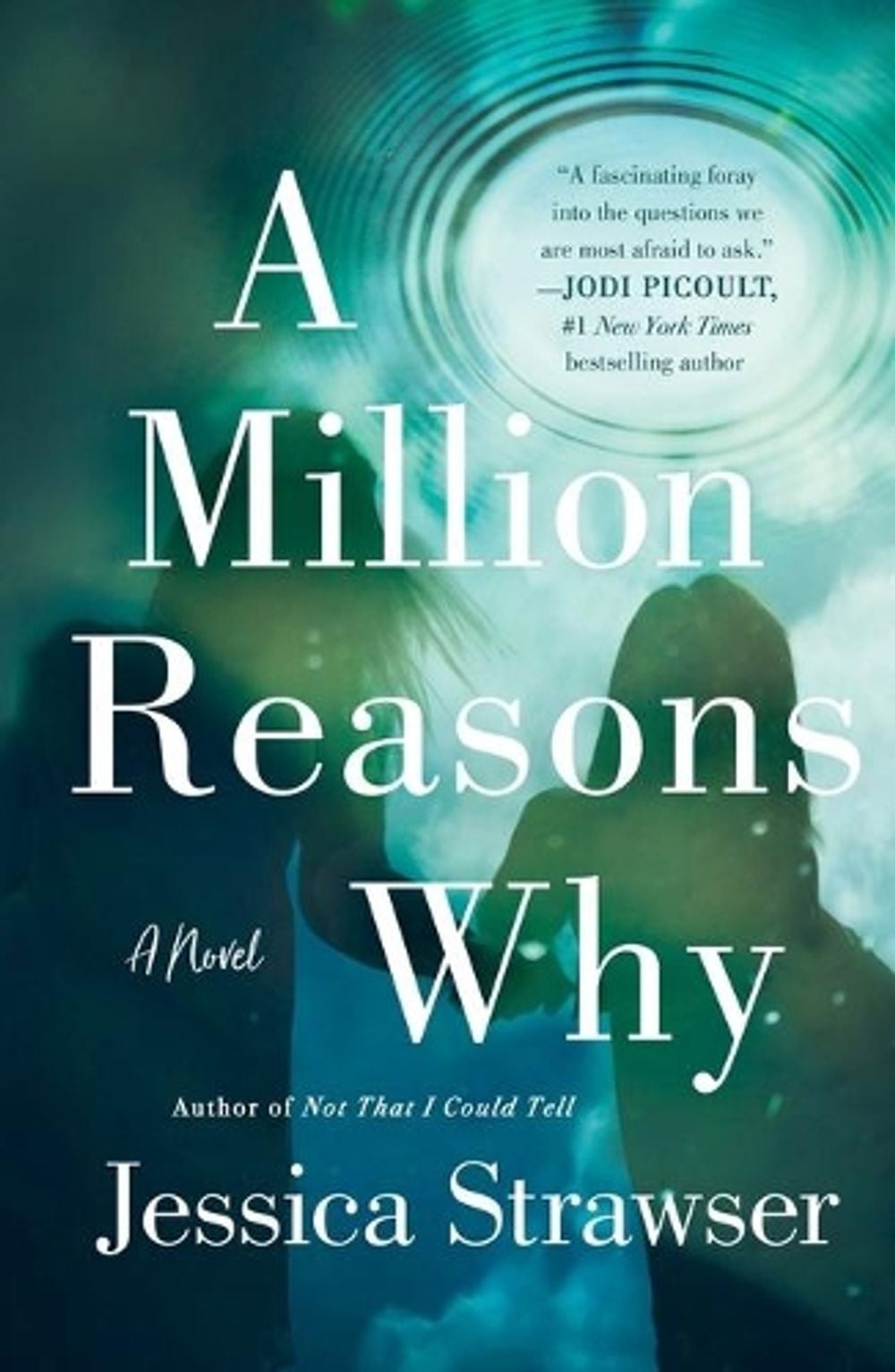 A Million Reasons Why by Jessica Strawser - ISBN: 9781250620484