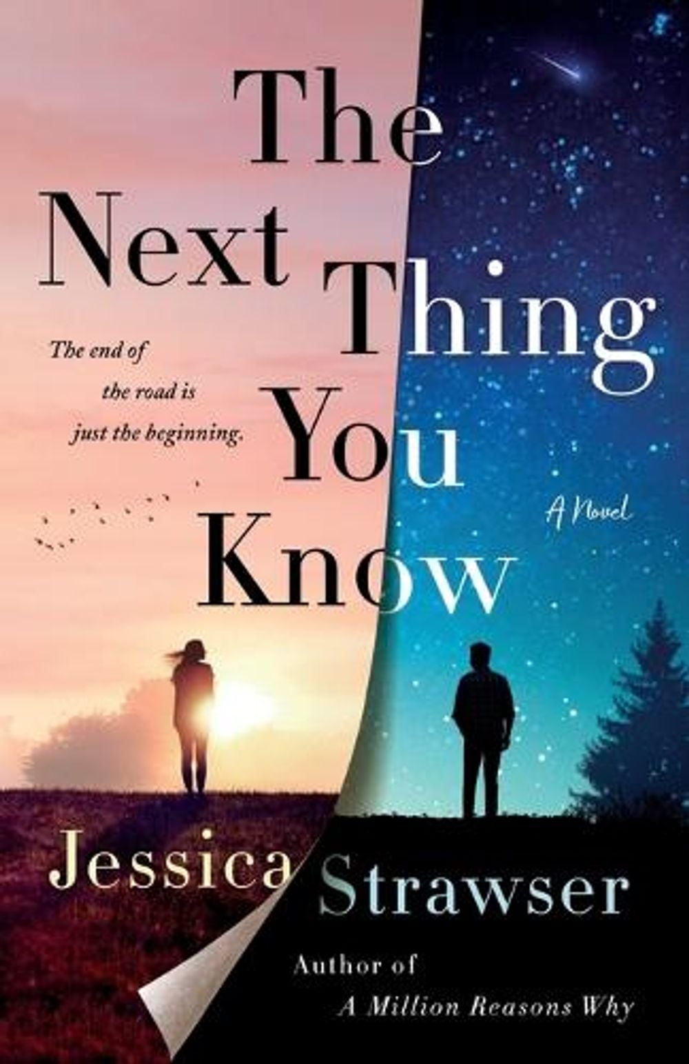 The Next Thing You Know by Jessica Strawser - ISBN: 9781250620491