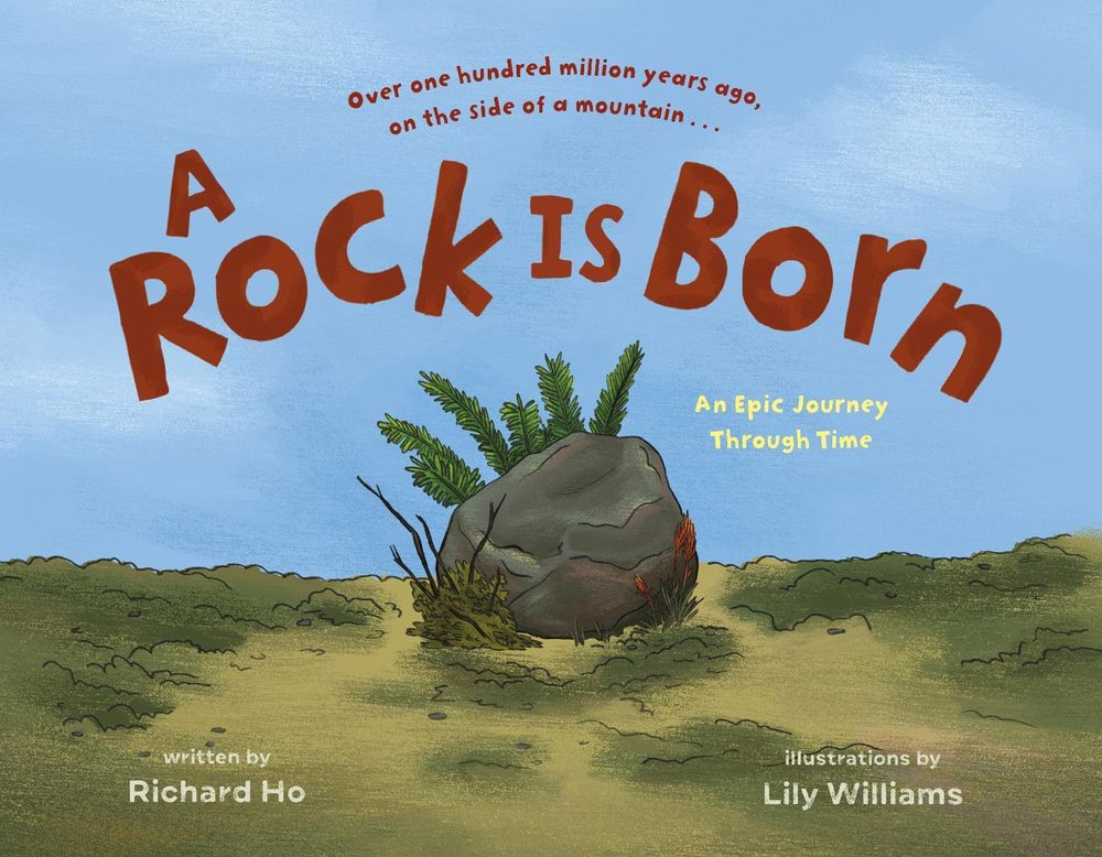 A Rock Is Born by Richard Ho - ISBN: 9781250749925