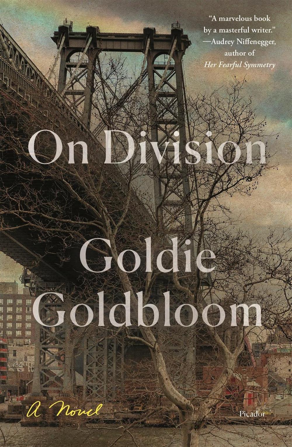On Division by Goldie Goldbloom - ISBN: 9781250757968