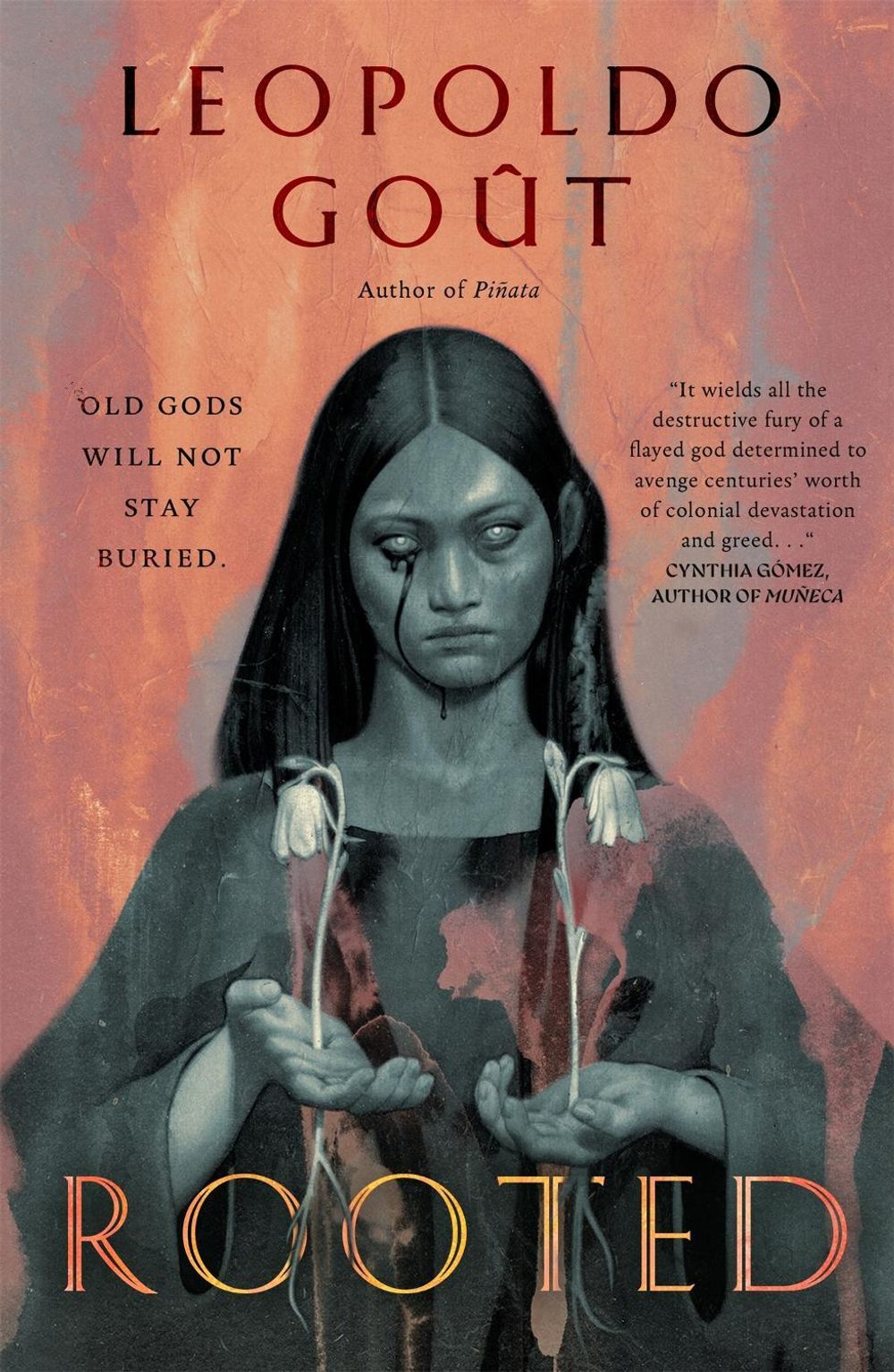 Rooted by Leopoldo Goût - ISBN: 9781250781529