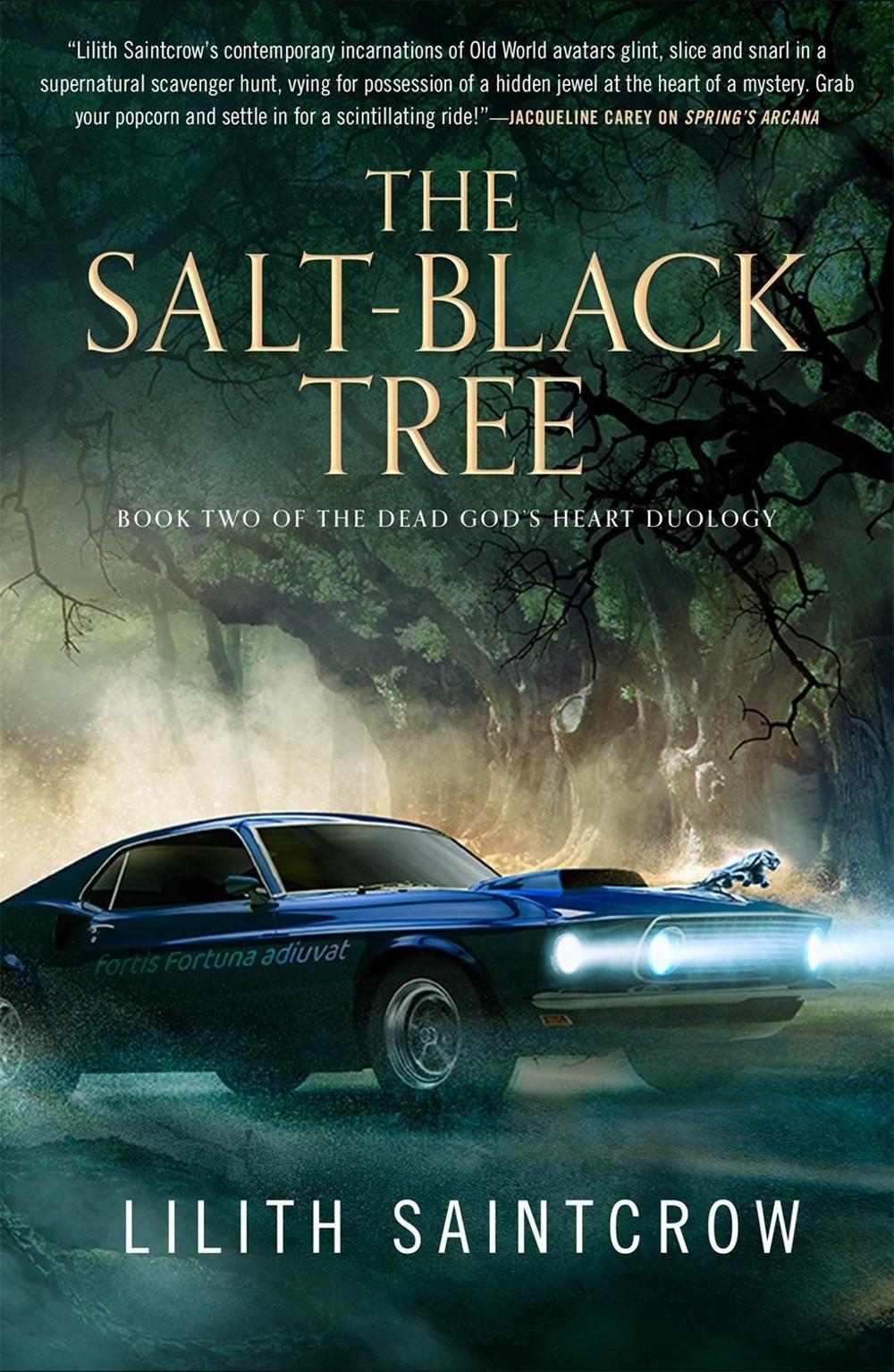 The Salt-Black Tree by Lilith Saintcrow - ISBN: 9781250791566