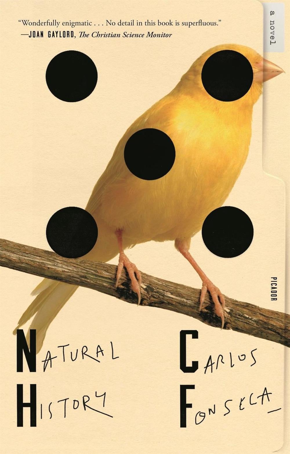 Natural History by Carlos Fonseca - ISBN: 9781250798541