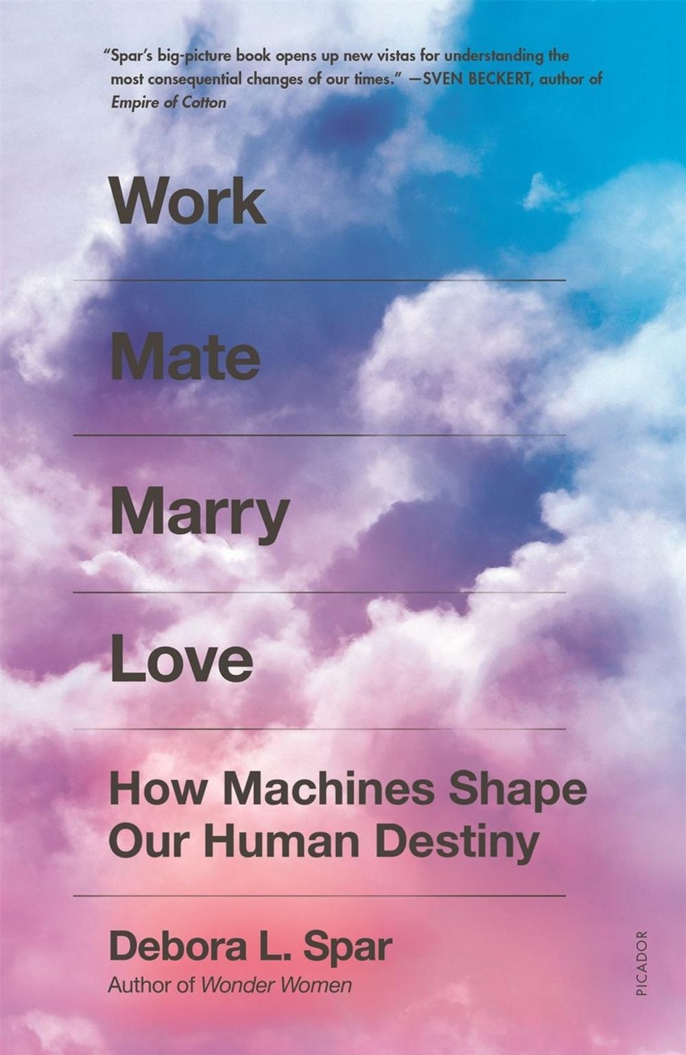 Work Mate Marry Love by Debora L. Spar - ISBN: 9781250798732