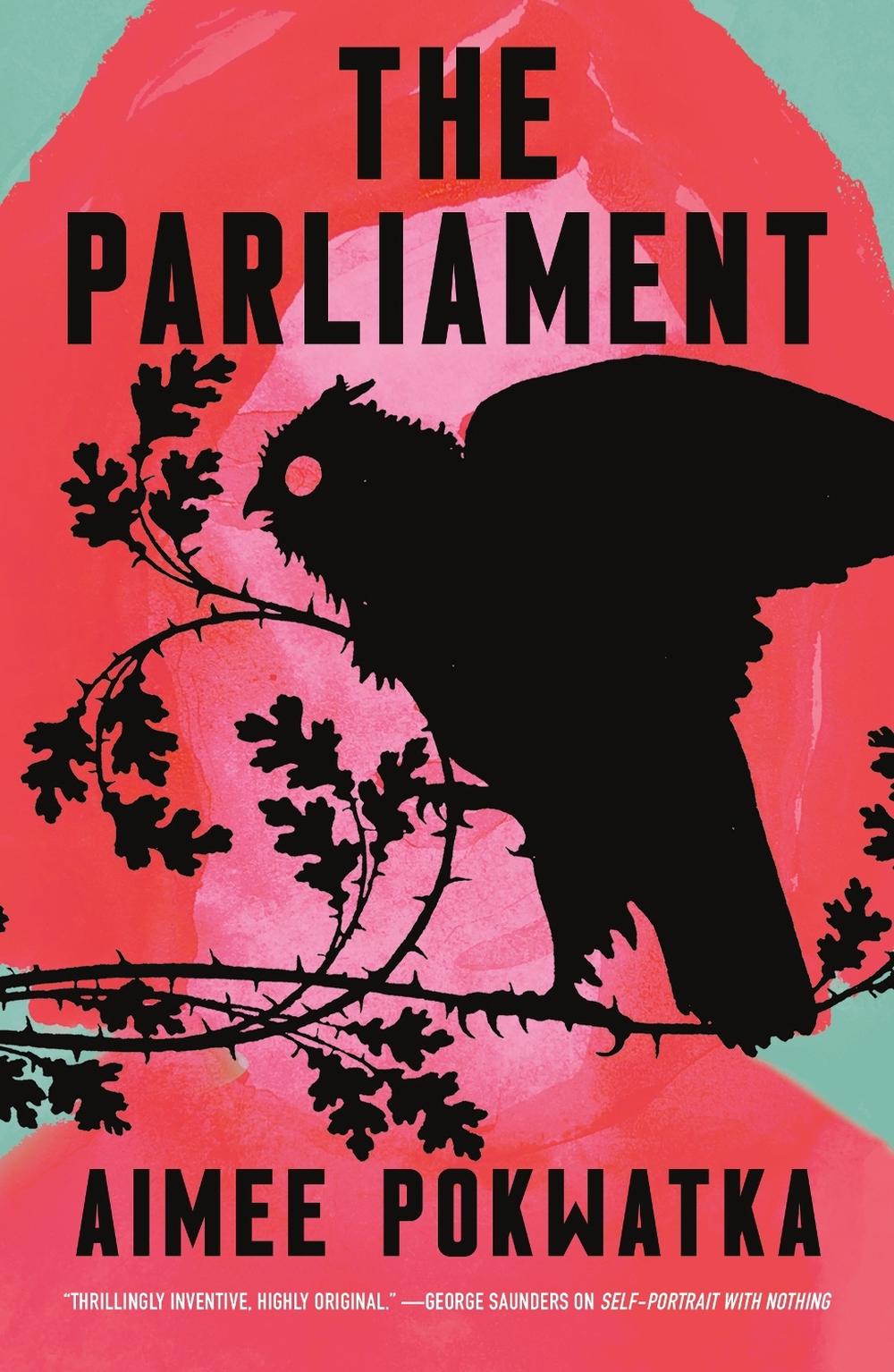 The Parliament by Aimee Pokwatka - ISBN: 9781250820976