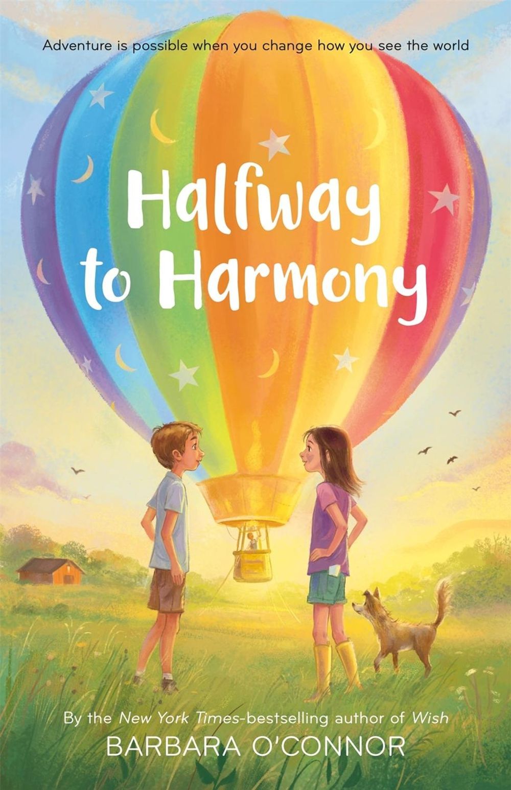 Halfway to Harmony by Barbara O'Connor - ISBN: 9781250821065