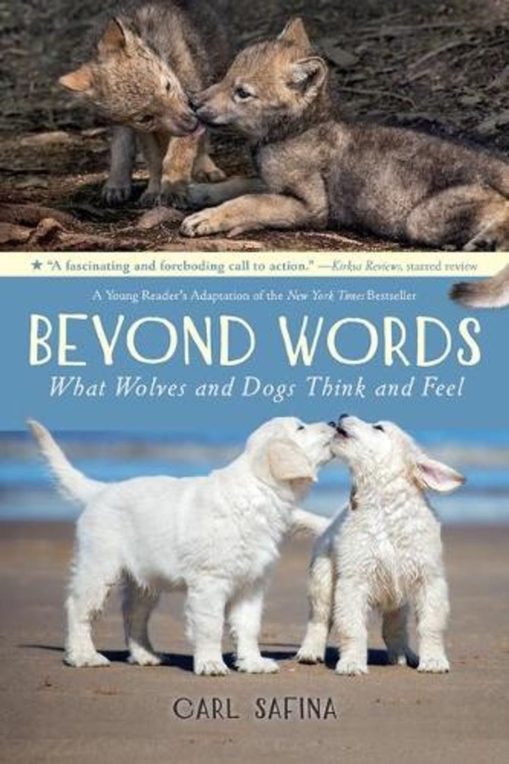 Beyond Words: What Wolves and Dogs Think and Feel (A Young Reader's Adaptation) by Carl Safina - ISBN: 9781250821119