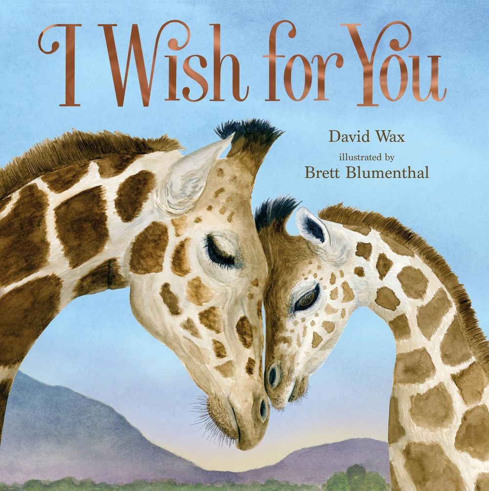 I Wish for You by David Wax - ISBN: 9781250822185