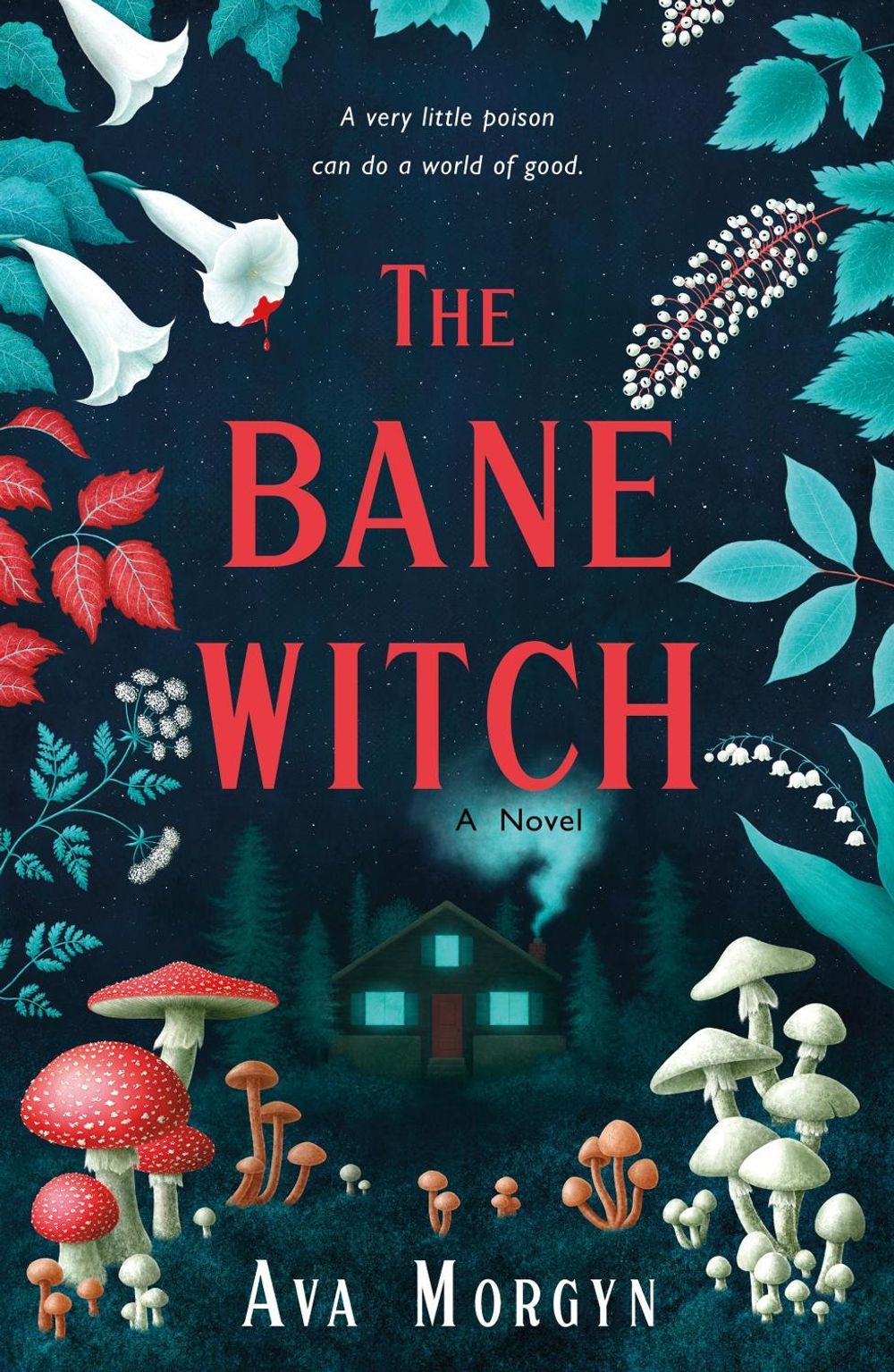 The Bane Witch by Ava Morgyn - ISBN: 9781250835451