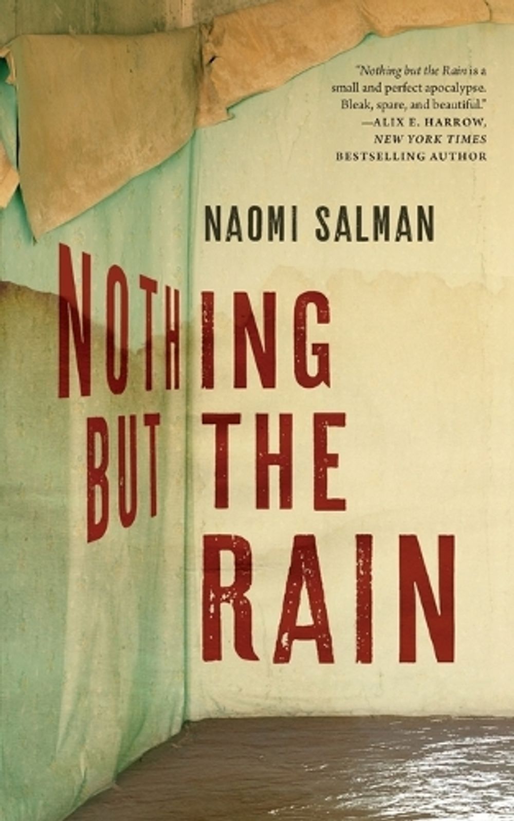 Nothing but the Rain by Naomi Salman - ISBN: 9781250849809