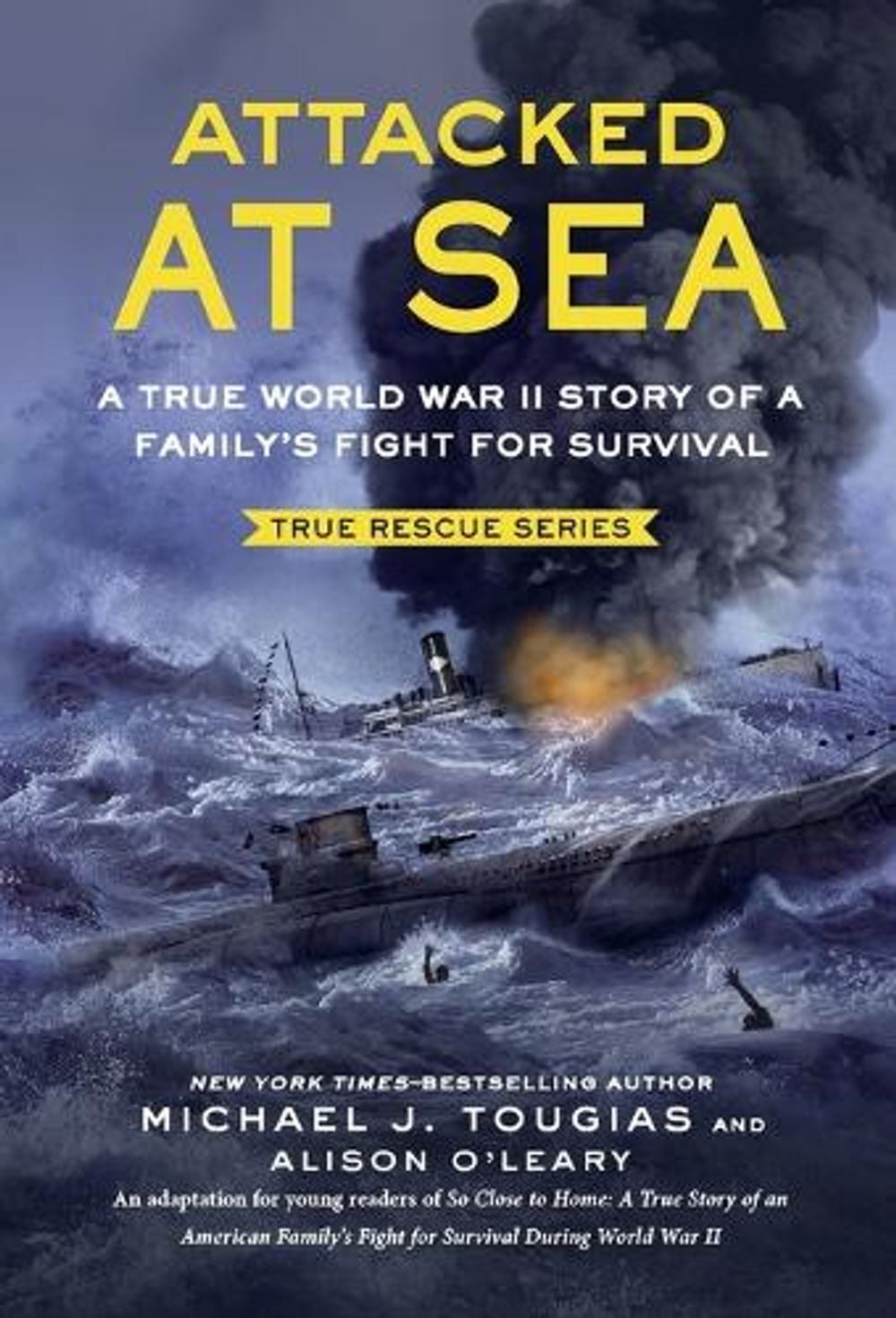 Attacked at Sea by Michael J. Tougias - ISBN: 9781250853219