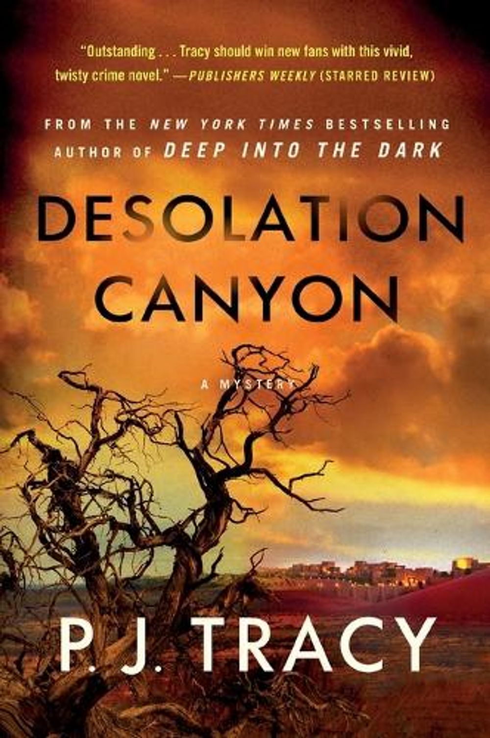 Desolation Canyon by P.J. Tracy - ISBN: 9781250860668