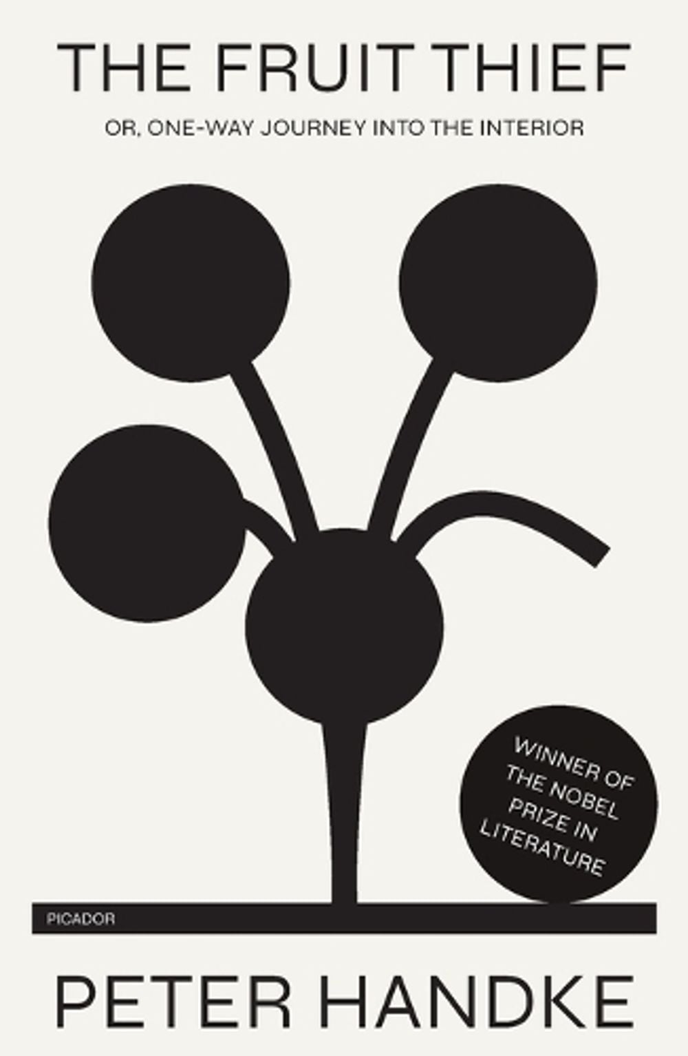 The Fruit Thief by Peter Handke - ISBN: 9781250862921