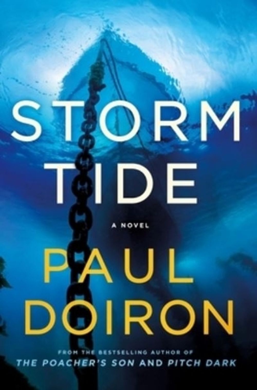 Storm Tide by Paul Doiron - ISBN: 9781250864451