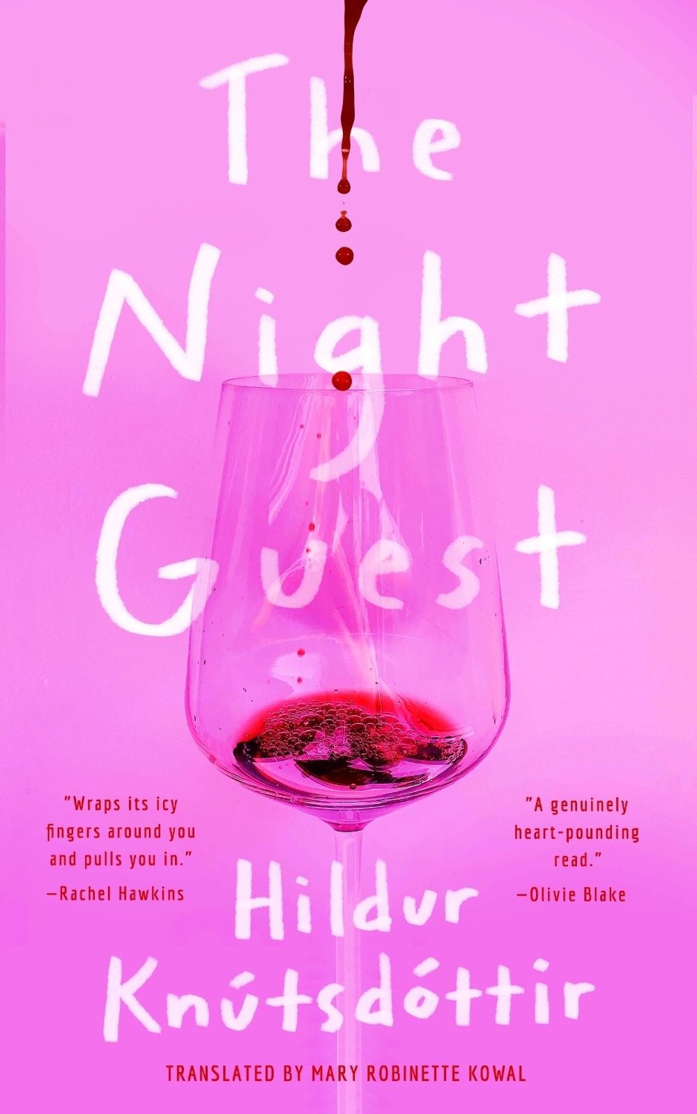 The Night Guest by Hildur Knútsdóttir - ISBN: 9781250876317