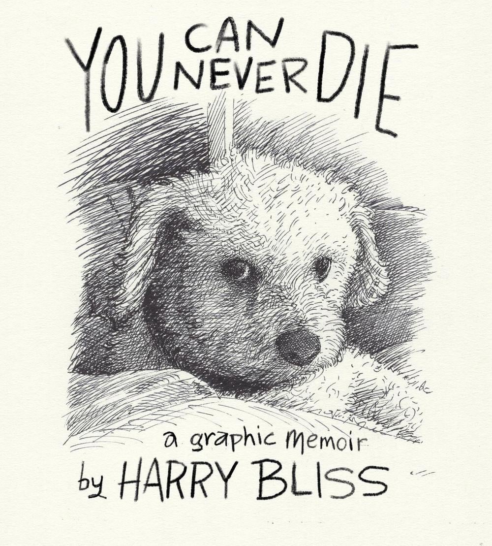 You Can Never Die by Harry Bliss - ISBN: 9781250883681