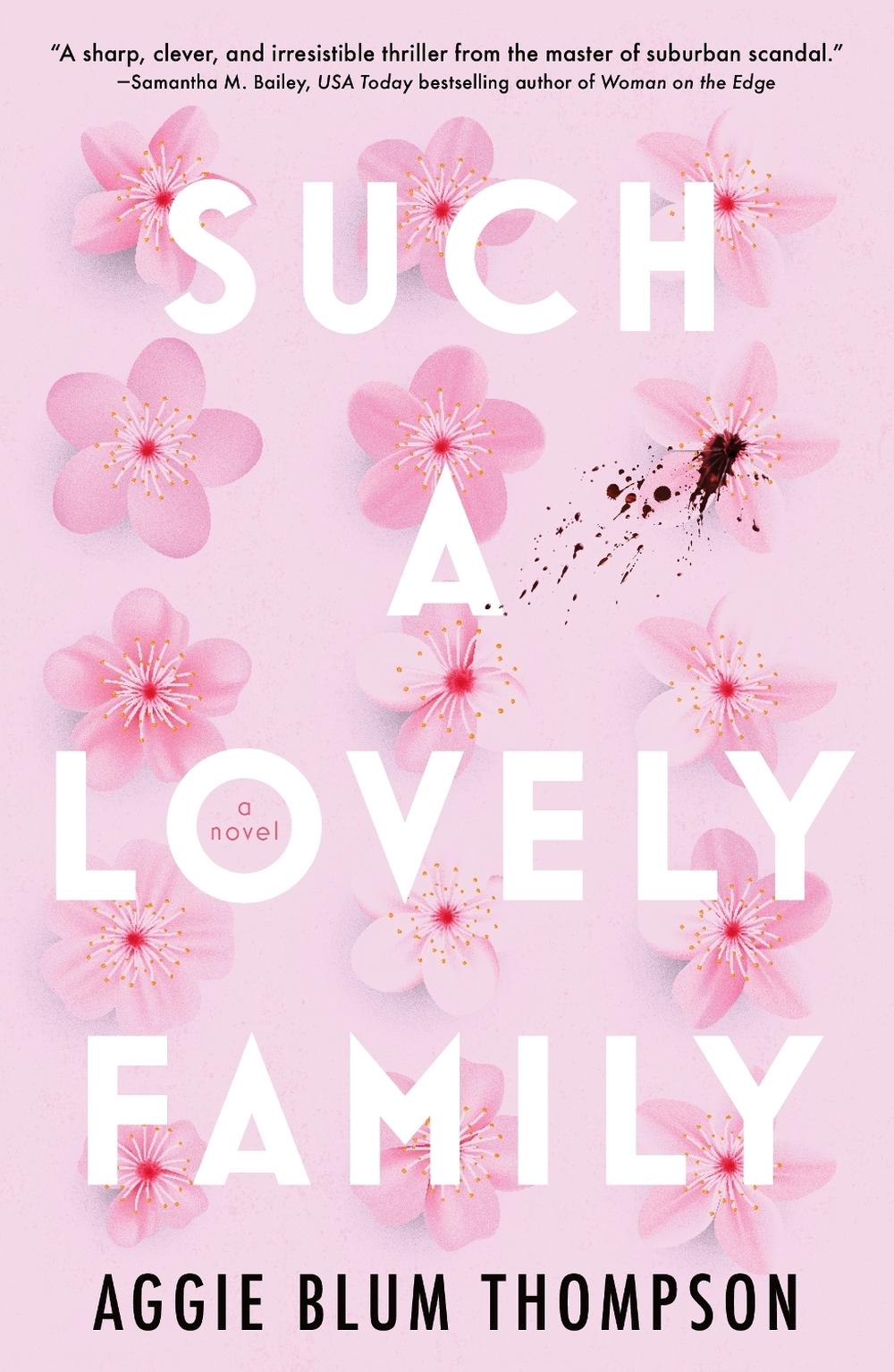 Such a Lovely Family by Aggie Blum Thompson - ISBN: 9781250891976