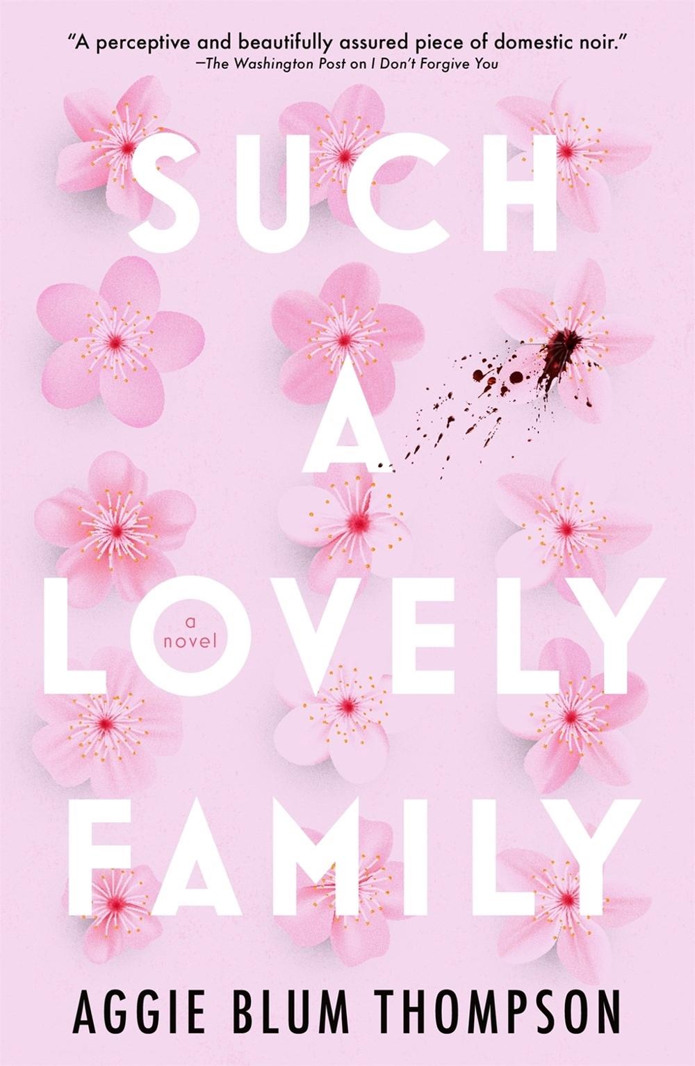 Such a Lovely Family by Aggie Blum Thompson - ISBN: 9781250891990