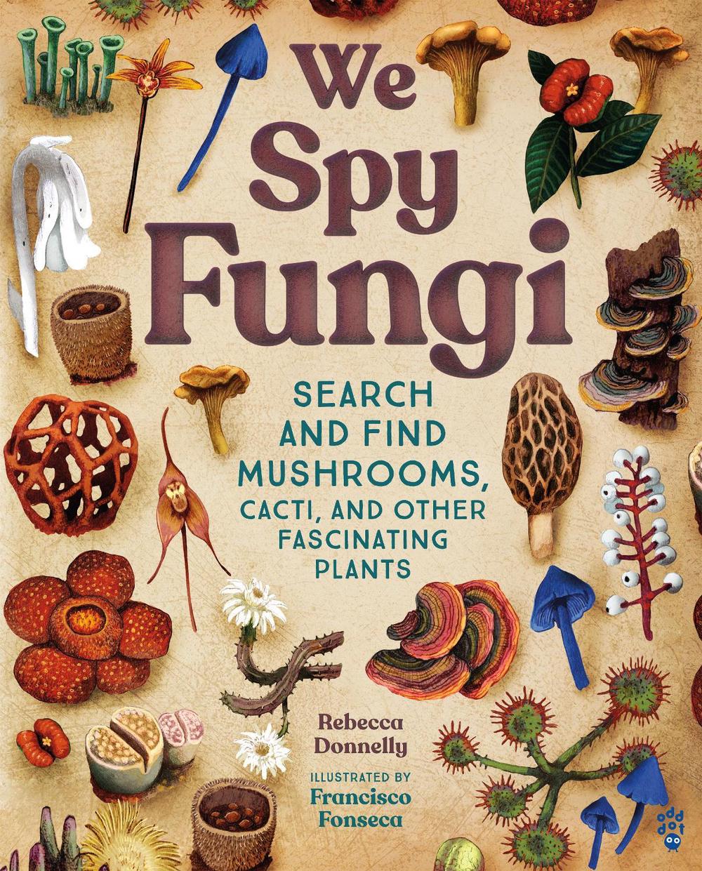 We Spy Fungi by Rebecca Donnelly - ISBN: 9781250910202
