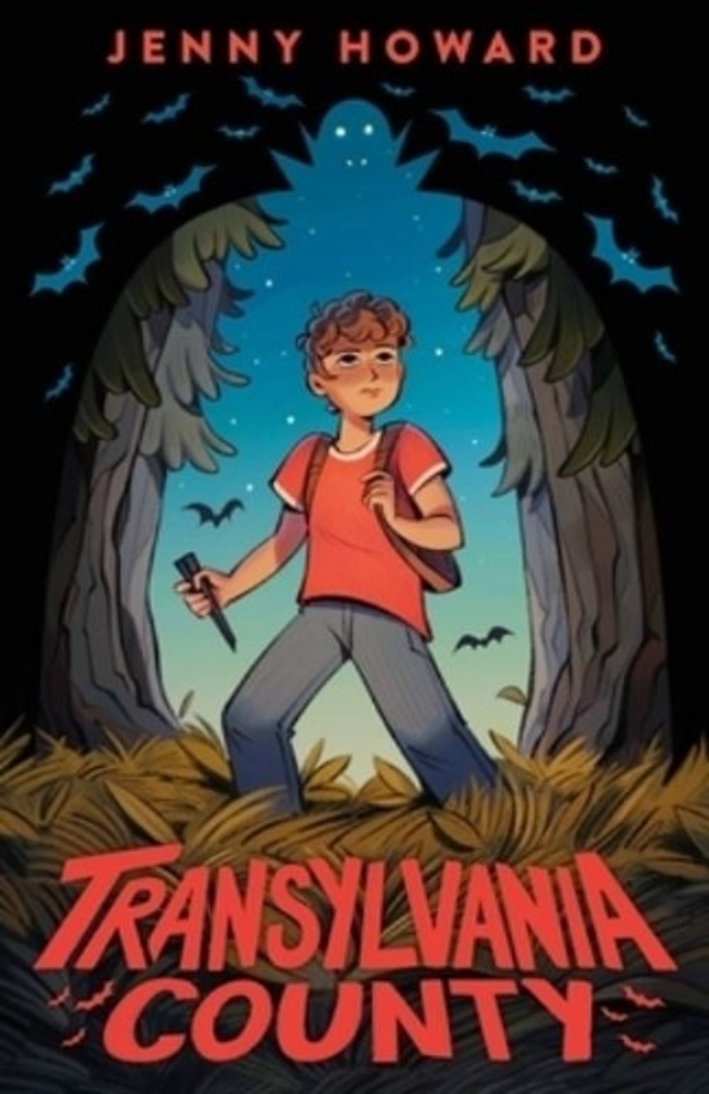 Transylvania County by Jenny Howard - ISBN: 9781250910226