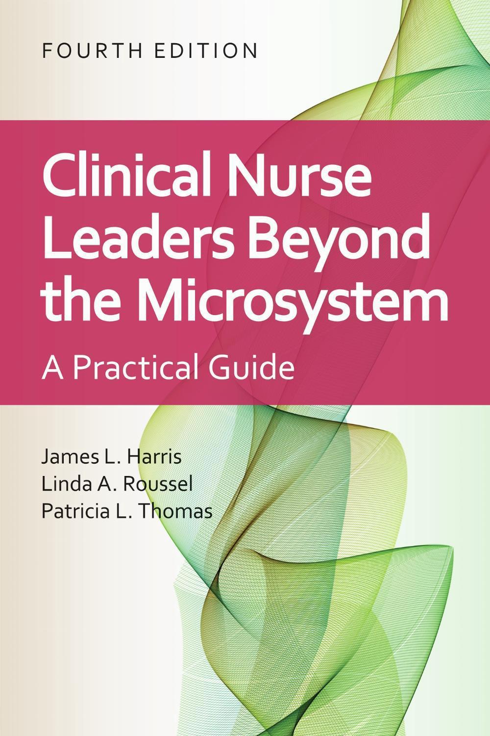 Clinical Nurse Leaders Beyond the Microsystem, 9781284227277