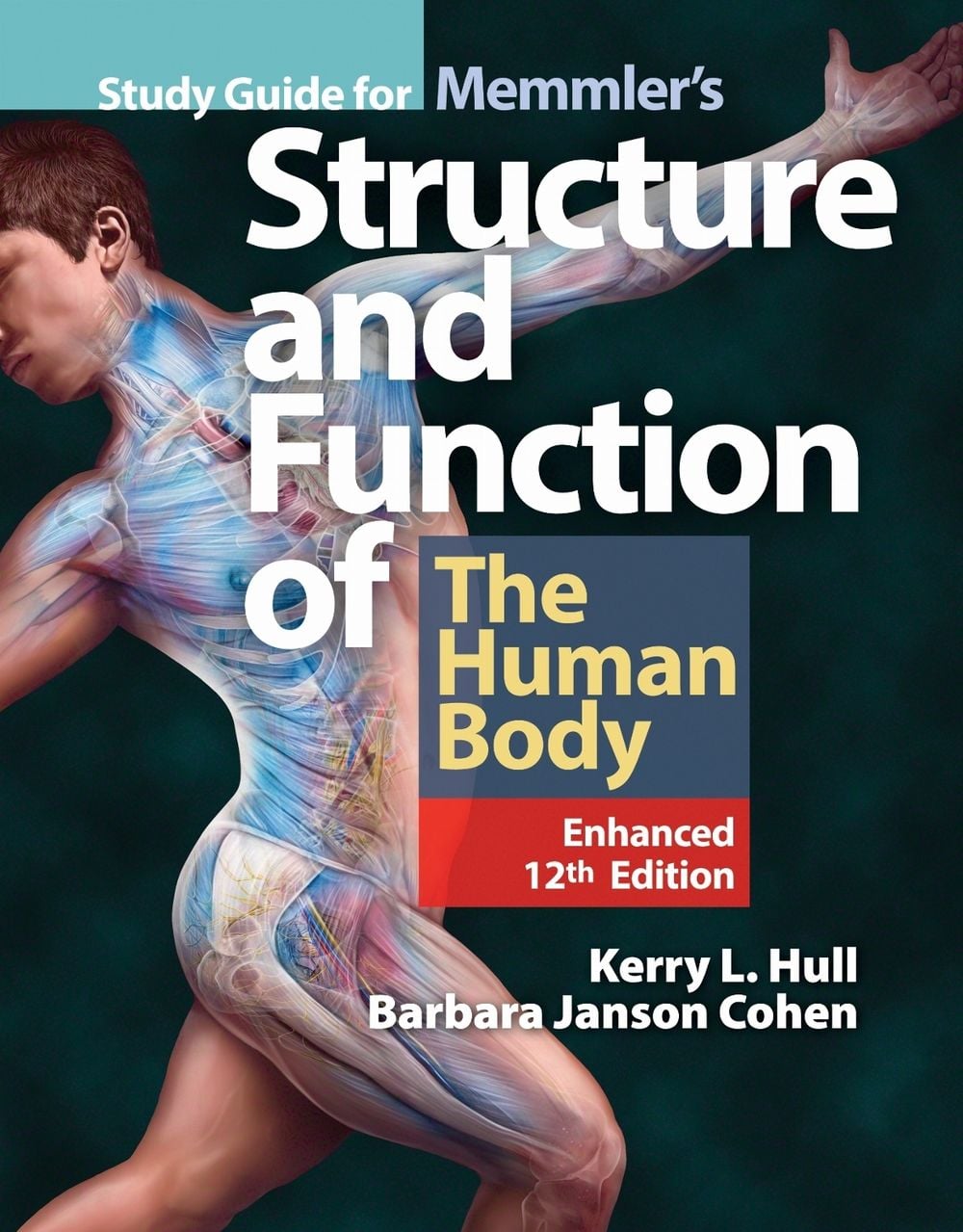 Study Guide for Memmler's Structure & Function of the Human Body, Enhanced Edition by Kerry L. Hull - ISBN: 9781284240559
