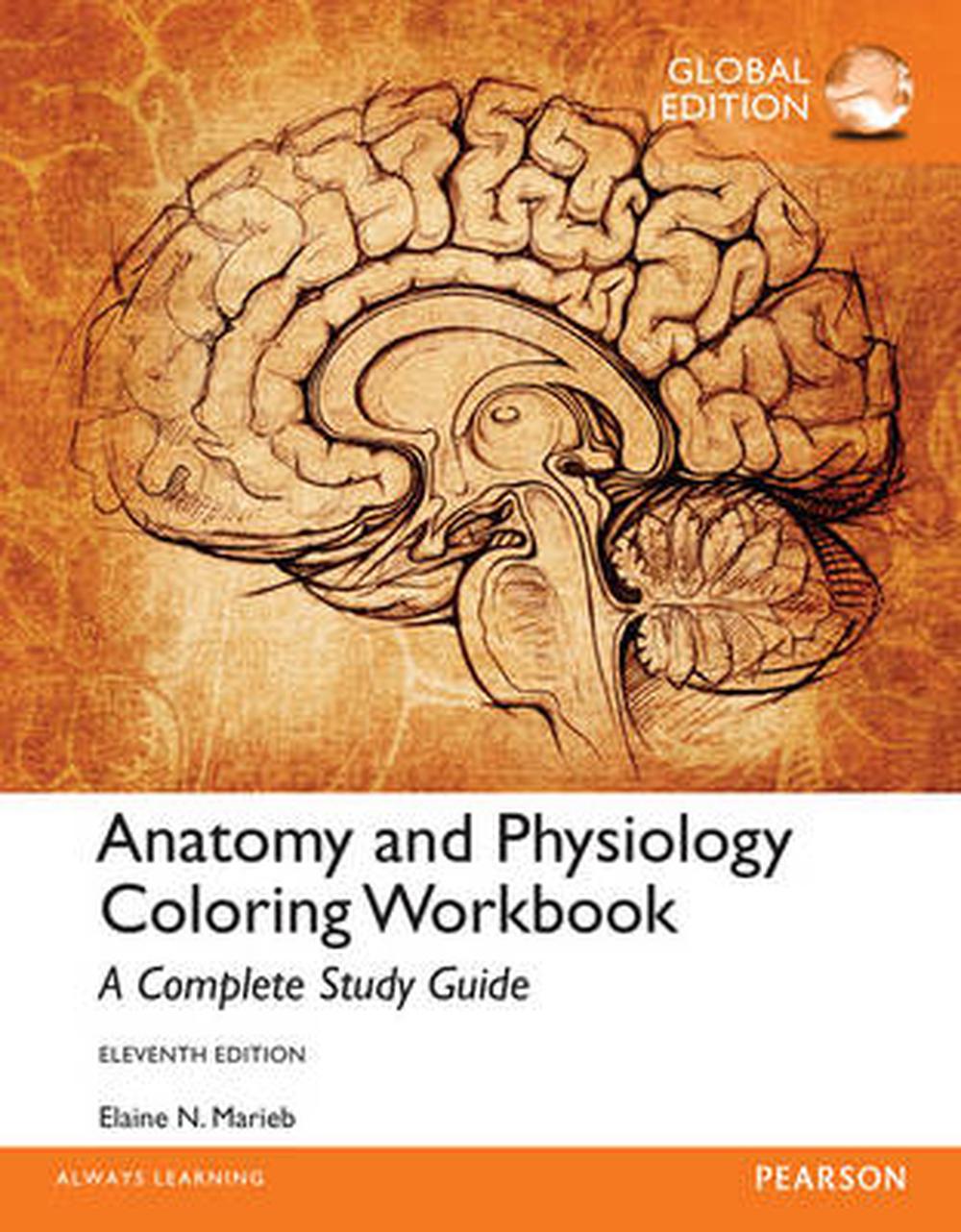Anatomy and Physiology Coloring Workbook a Complete Study Guide