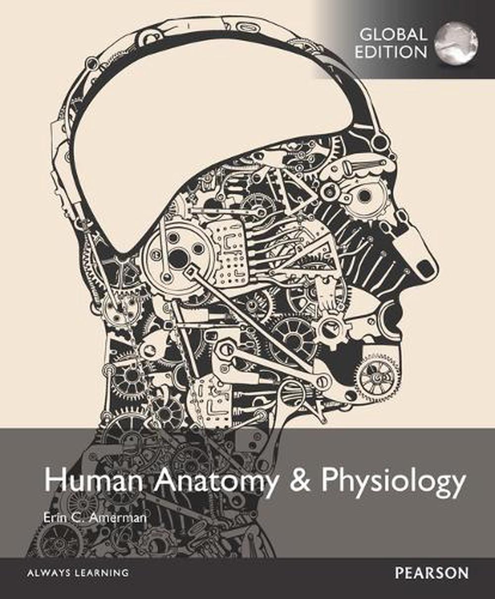 Image result for human anatomy and physiology global edition