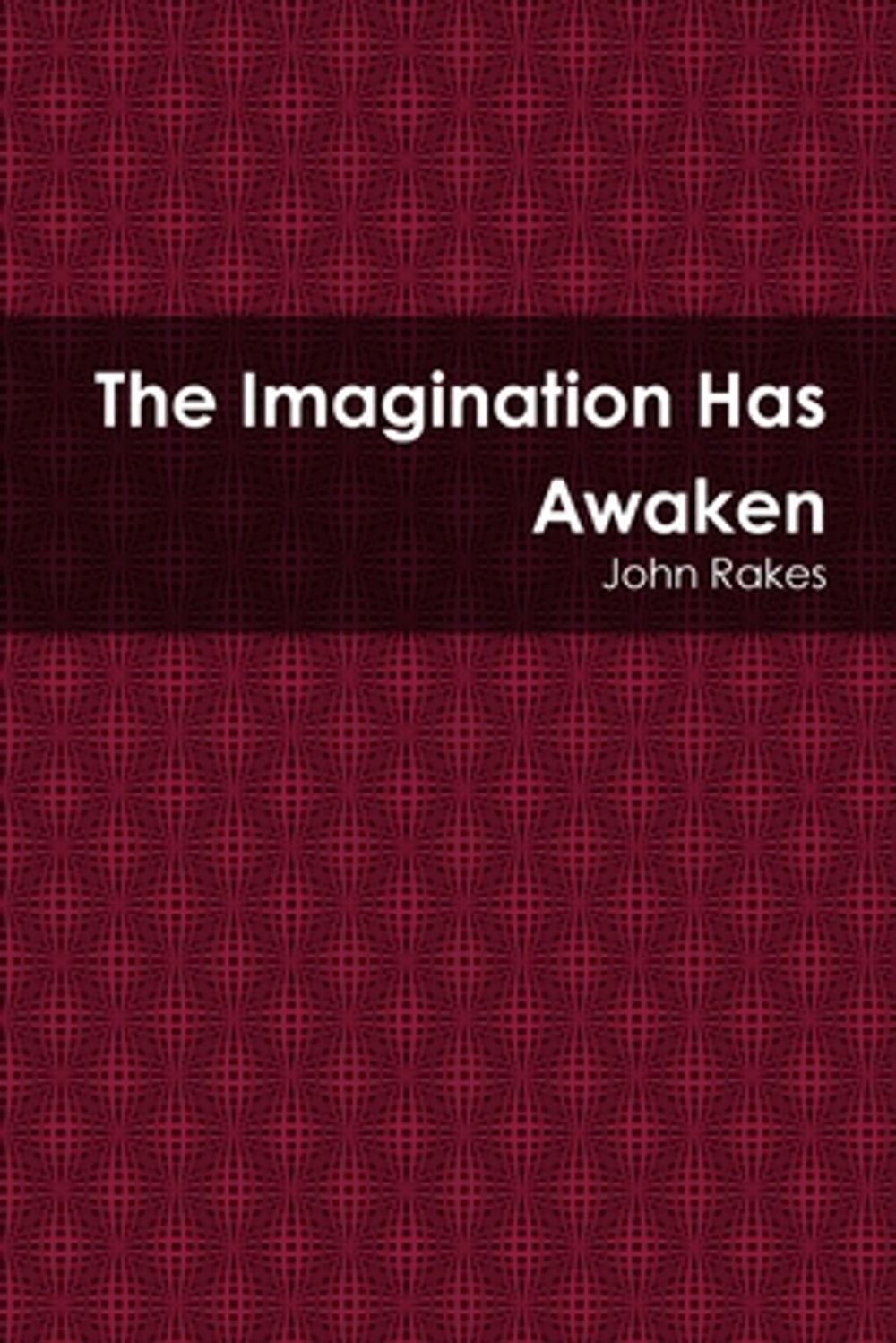 Tahei Rakei The Imagination Has Awaken by John Rakes Paperback Book 9781300390800 ...