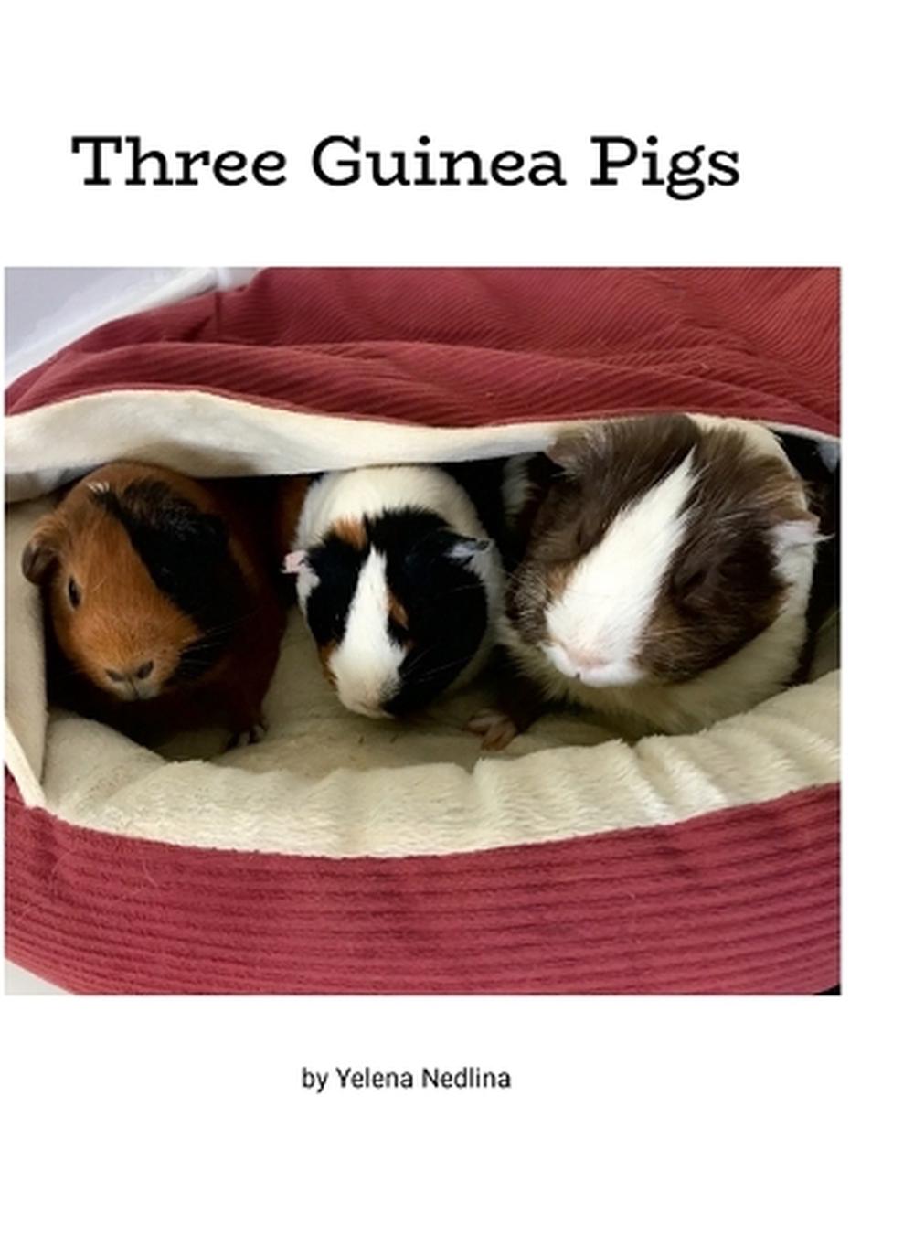 Three Guinea Pigs, 9781300870951