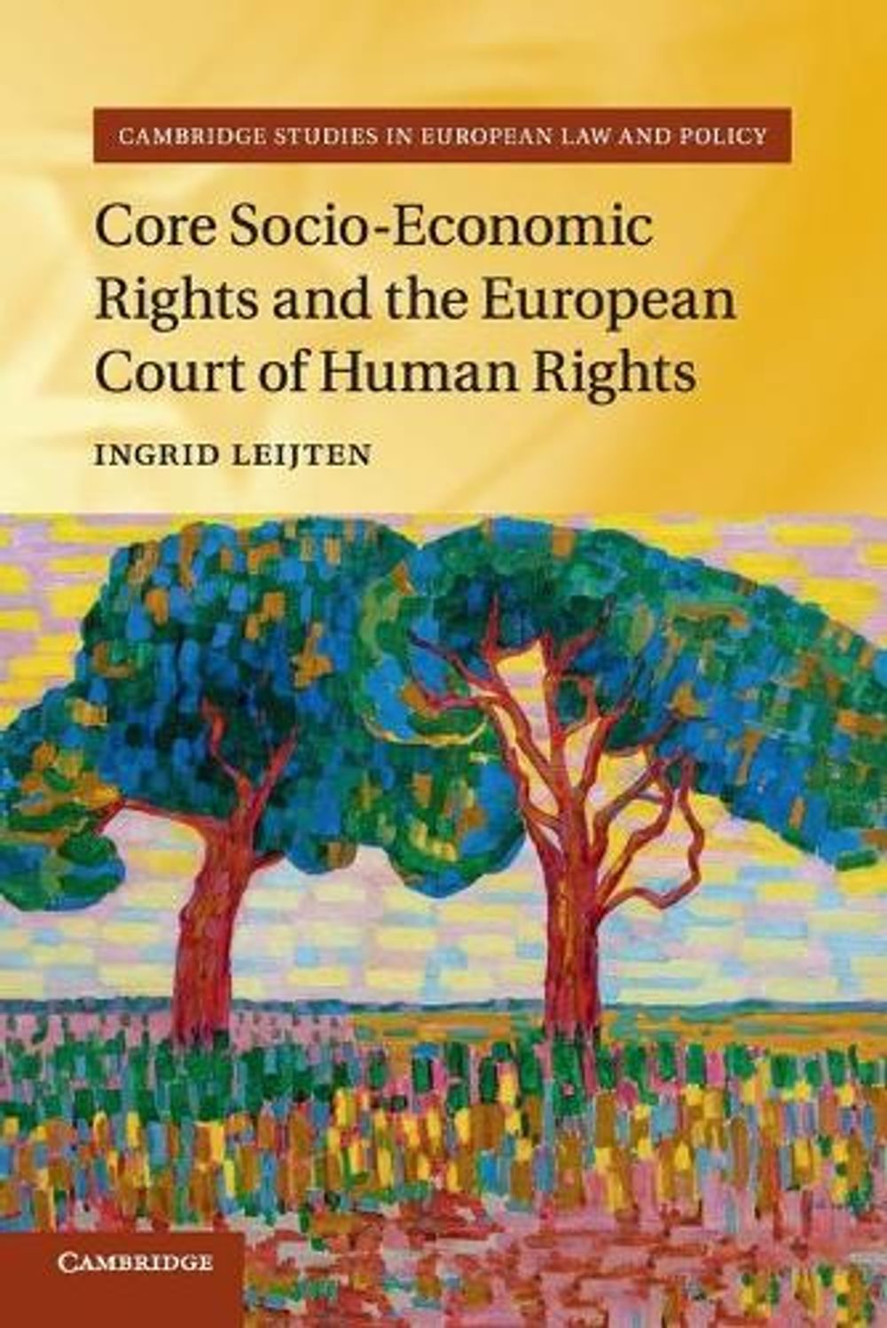 Core Socio-Economic Rights and the European Court of Human Rights by ...