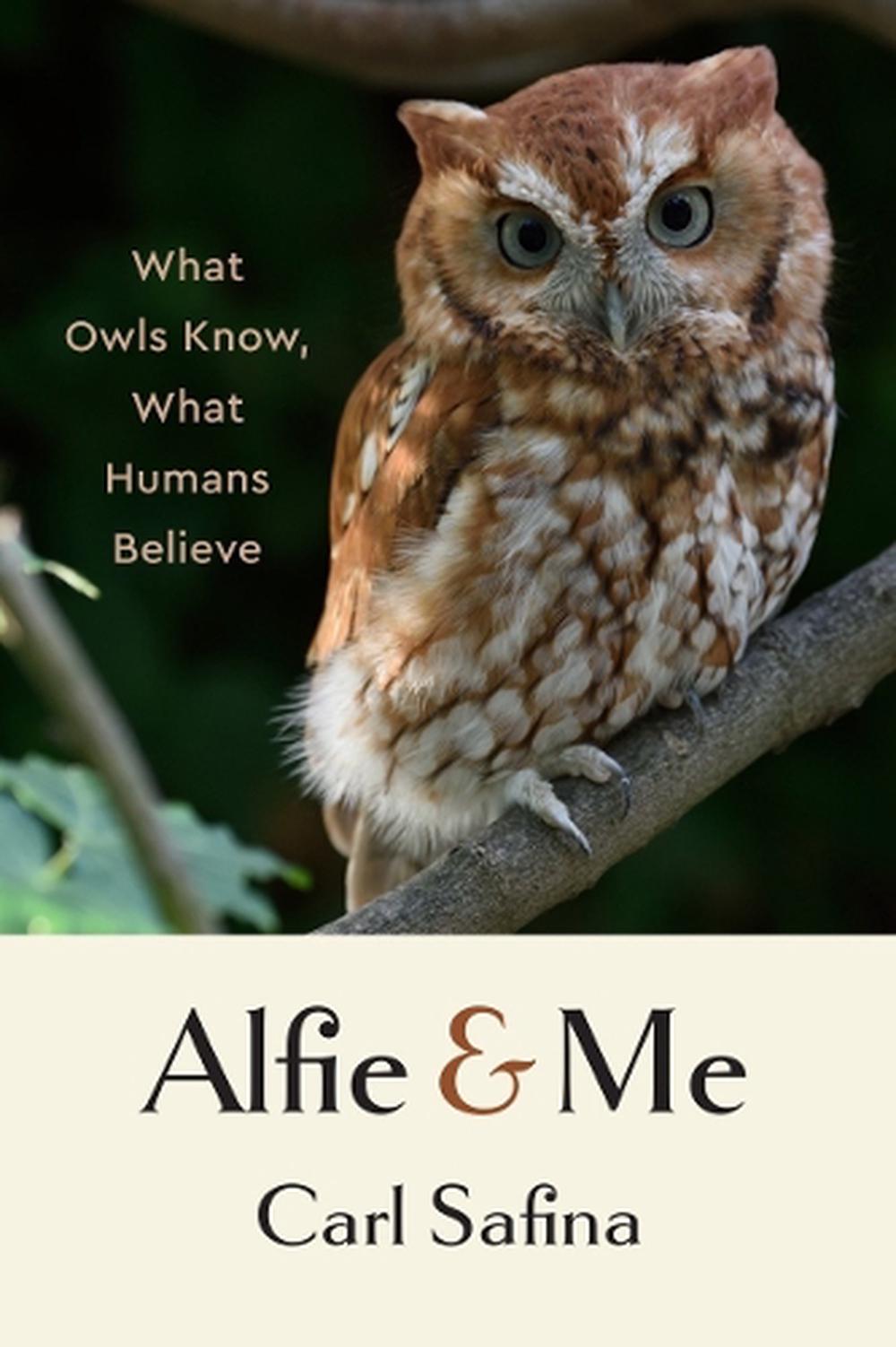 Alfie and Me, 9781324065463