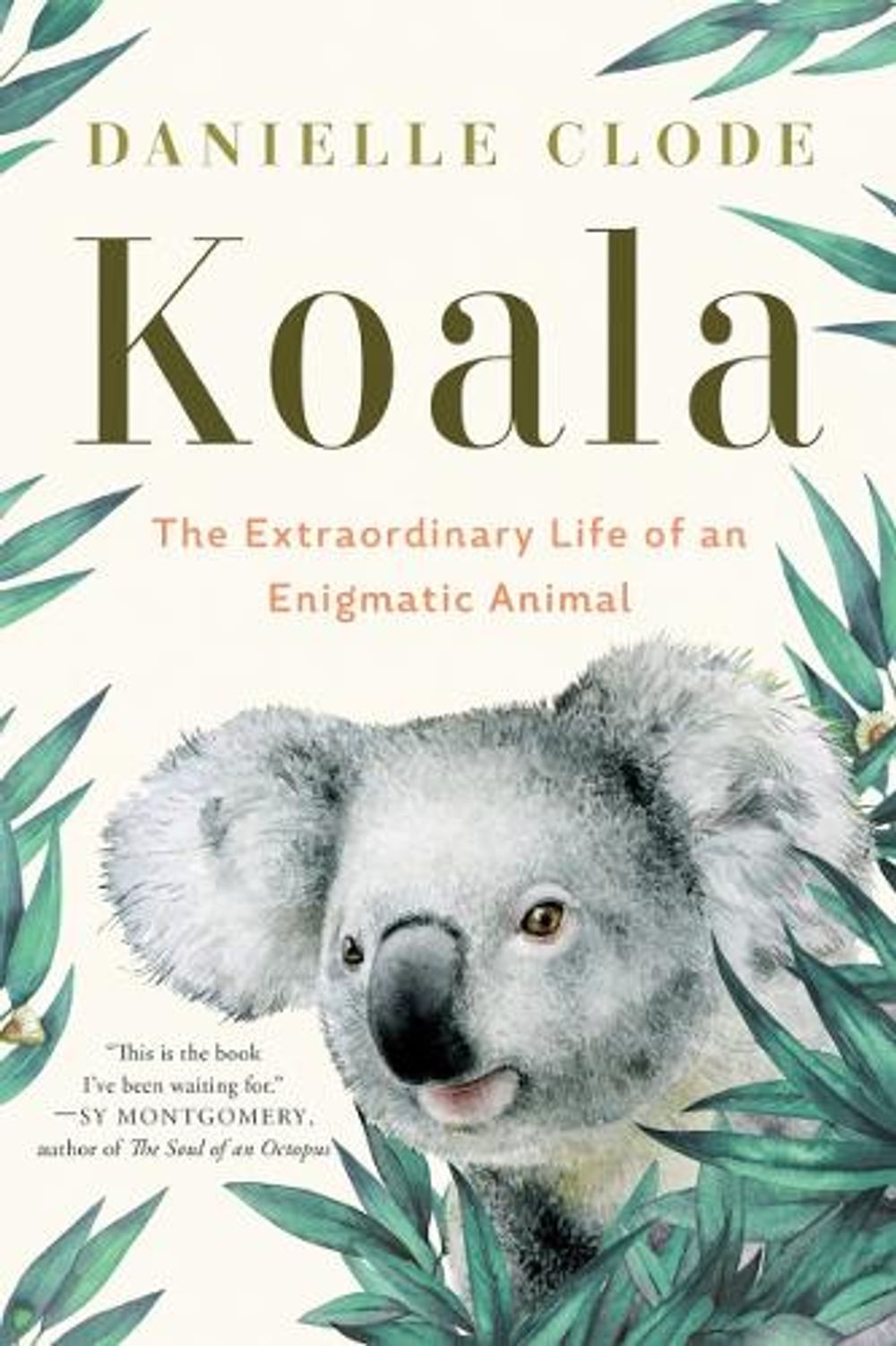Koala by Danielle Clode - ISBN: 9781324074496